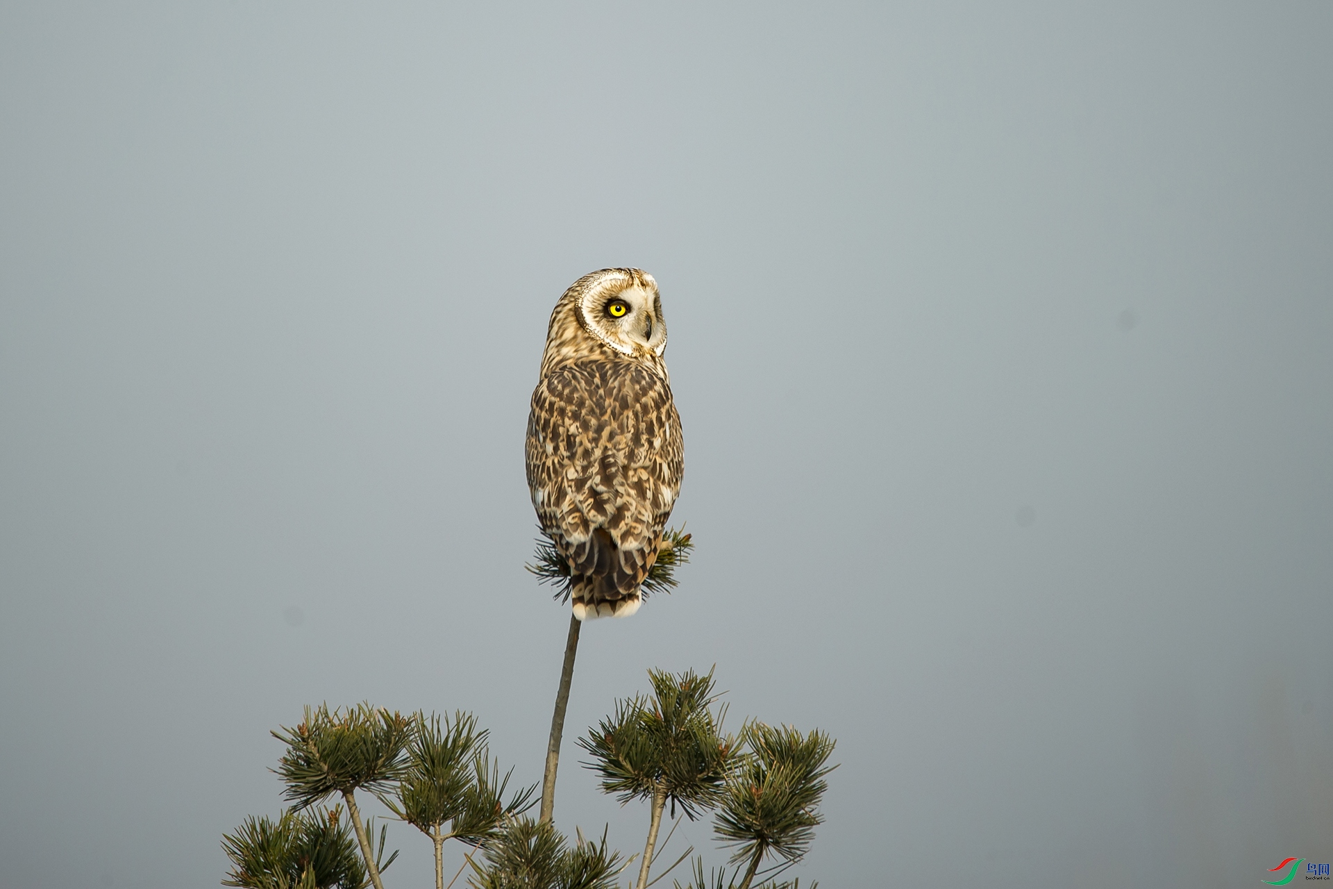 DSC_0225-20201206-�ü�.jpg