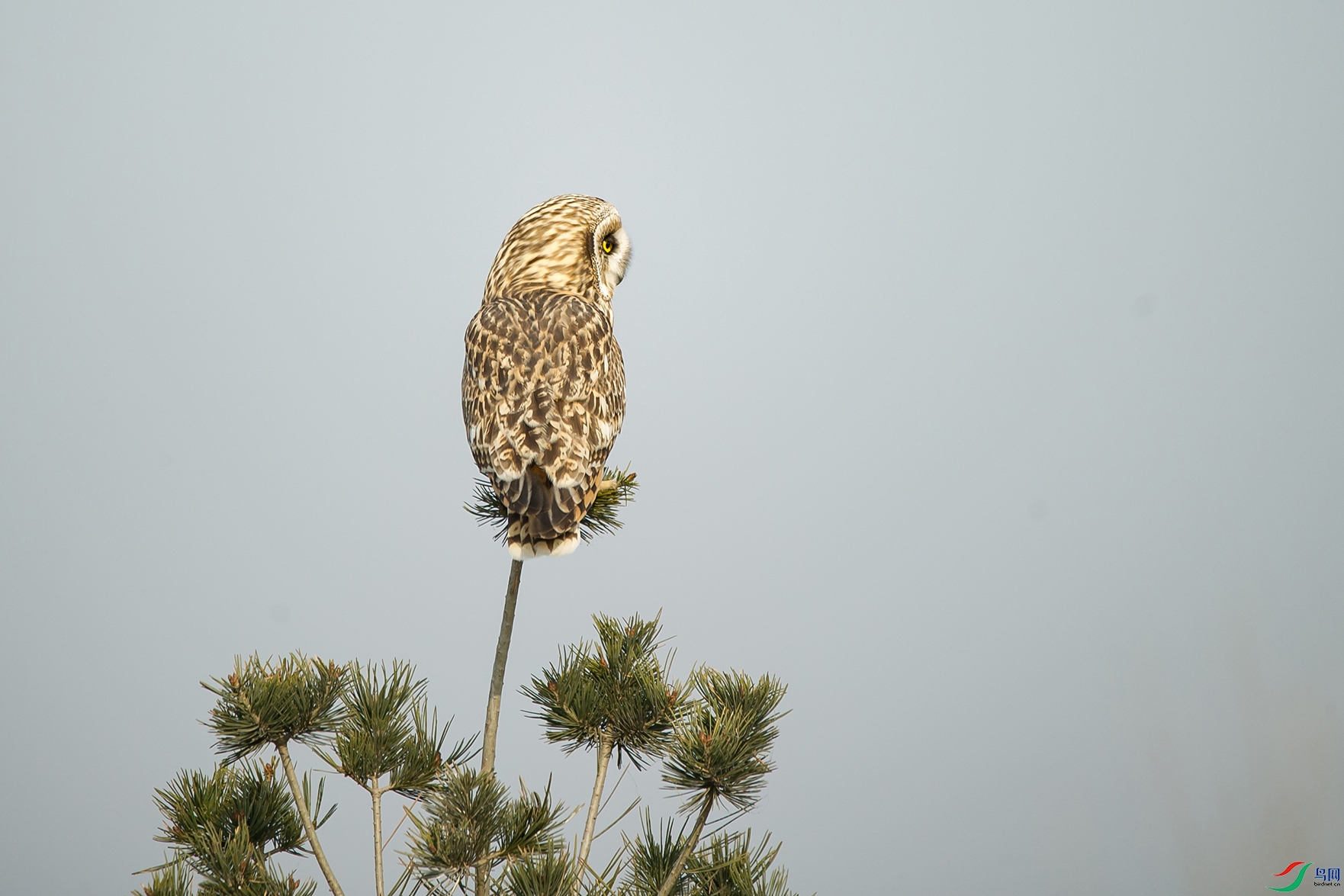 DSC_0250-20201206�ü�.jpg