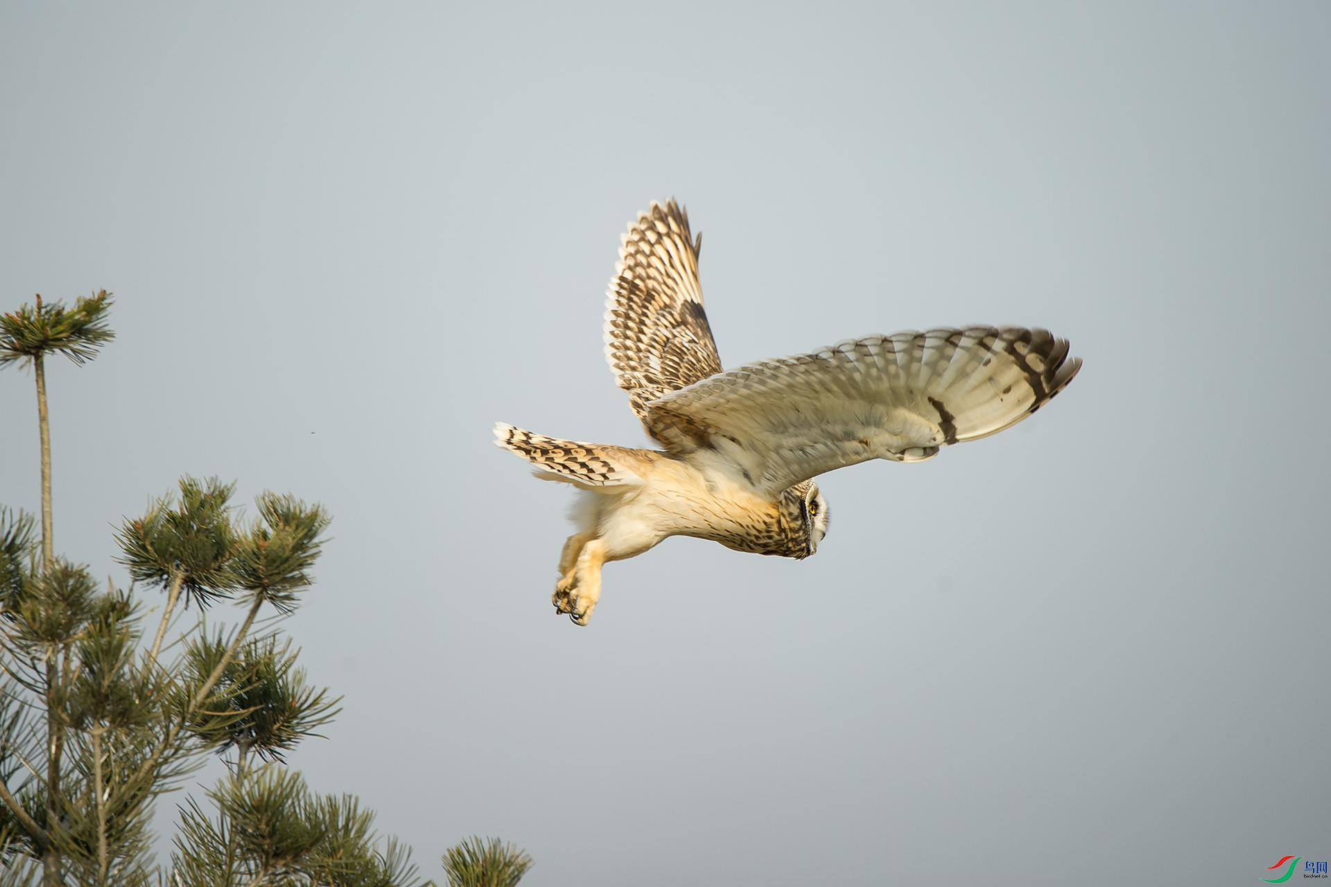 DSC_0263-20201206-�ü�.jpg