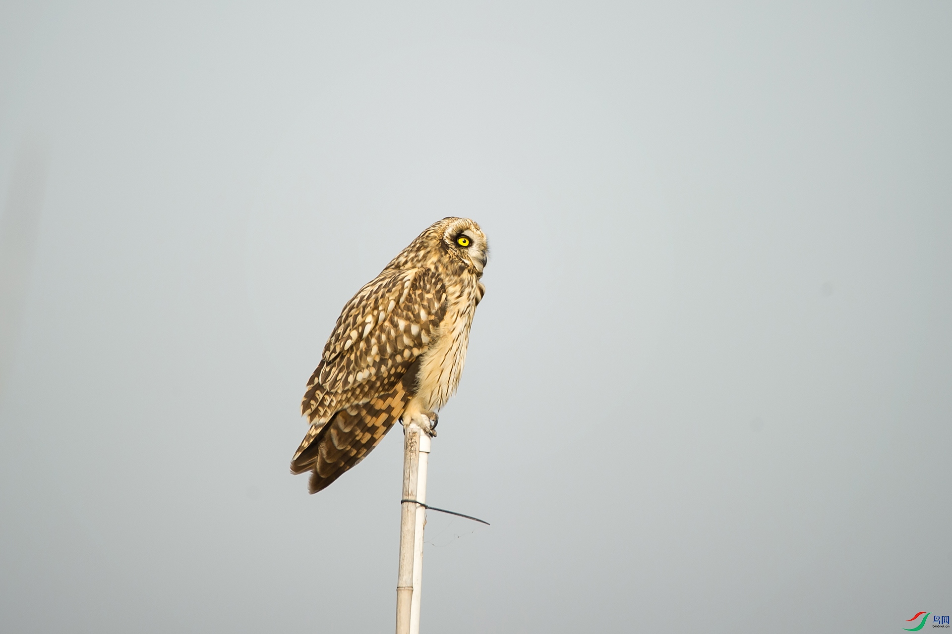 DSC_0271-20201206�ü�.jpg