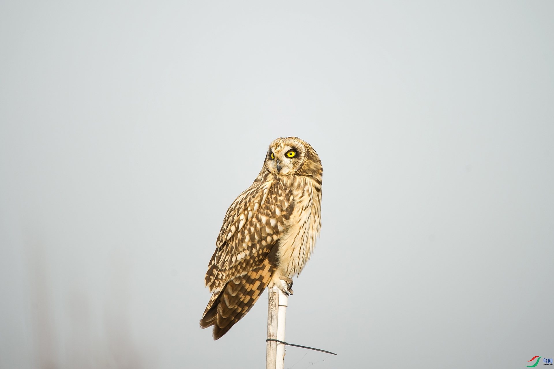 DSC_0273-20201206�ü�.jpg