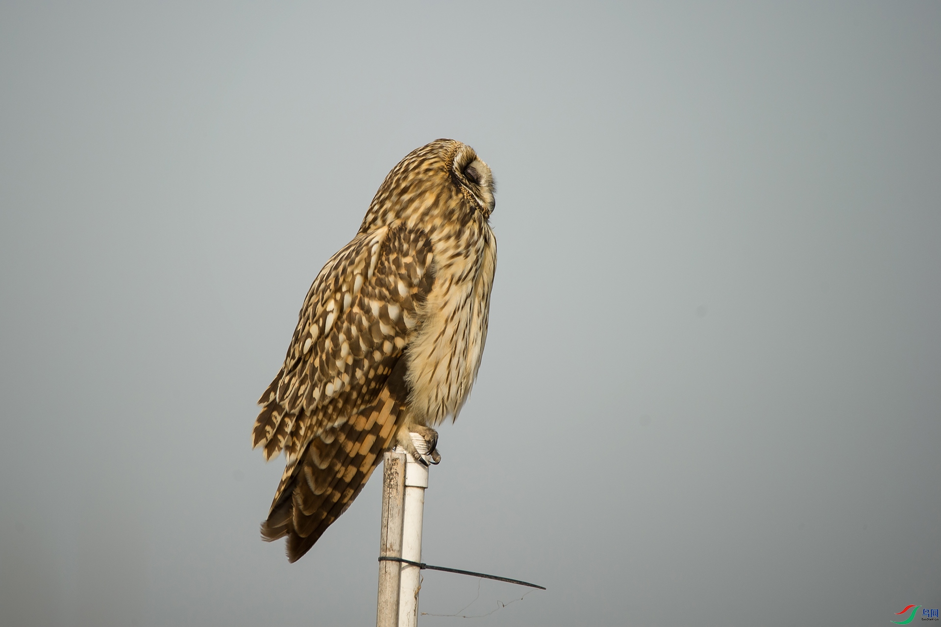DSC_0292-20201207�ü�.jpg