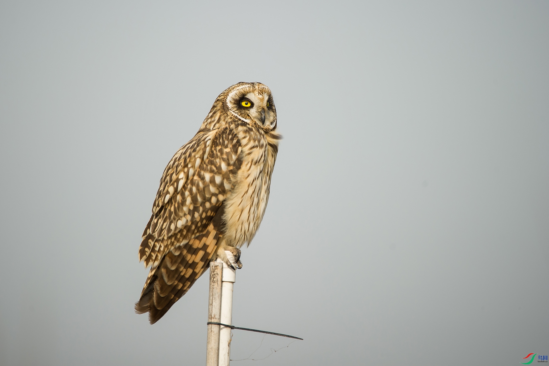 DSC_0303-20201207�ü�.jpg