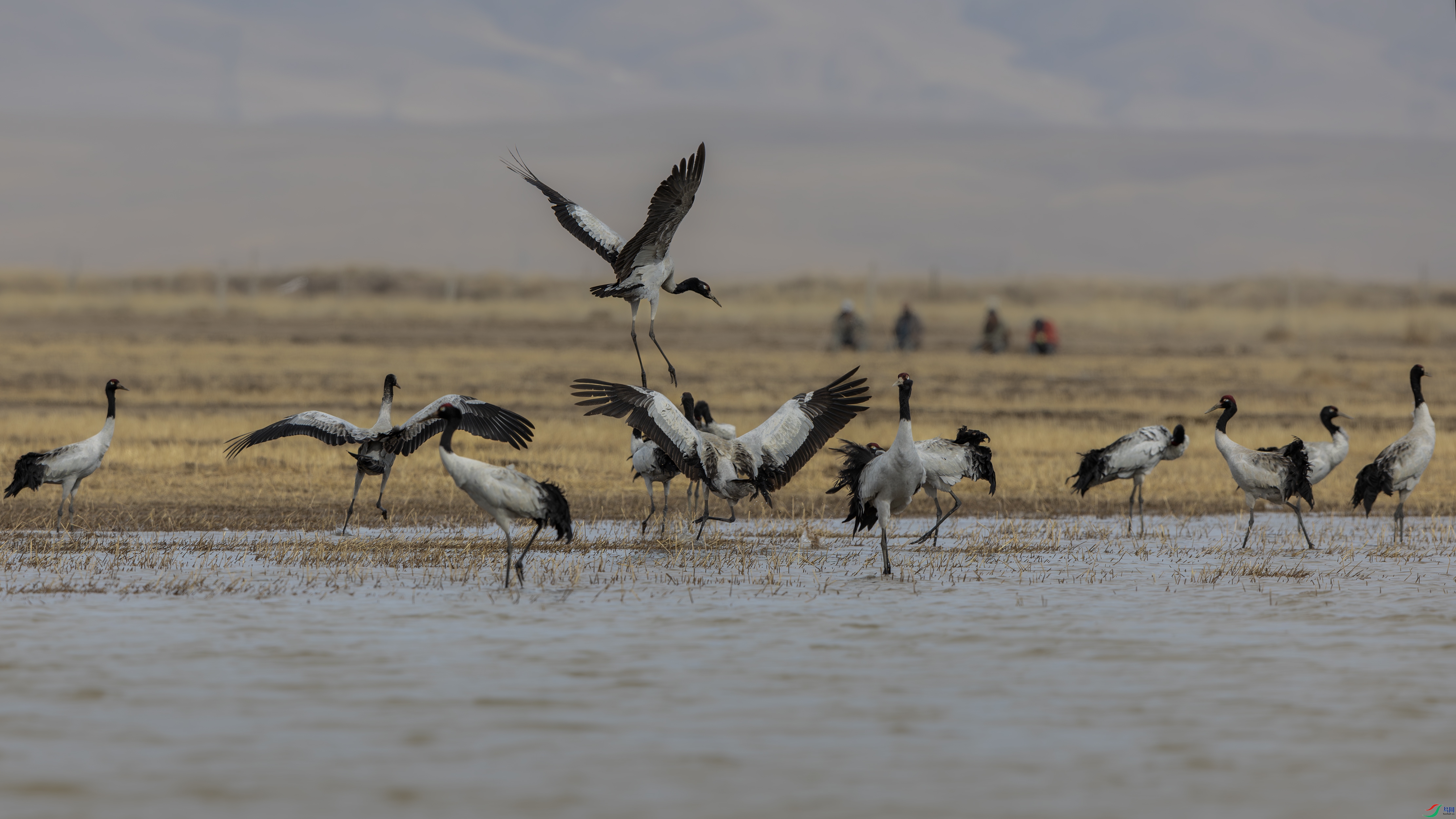 ��ԭ�ɺ�  22.jpg