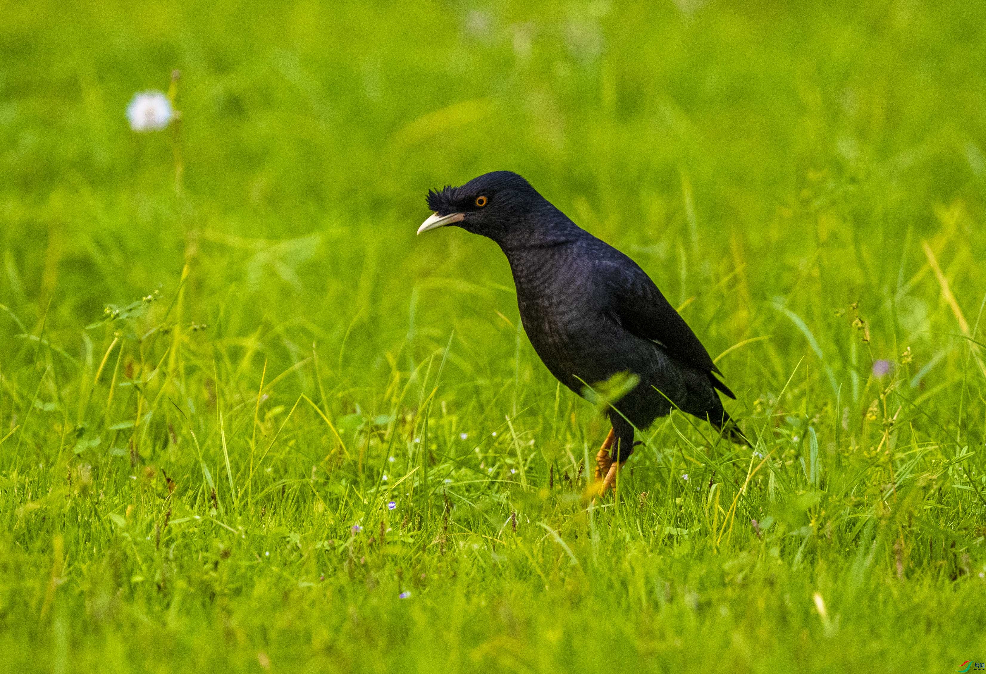 DSC_2023.jpg