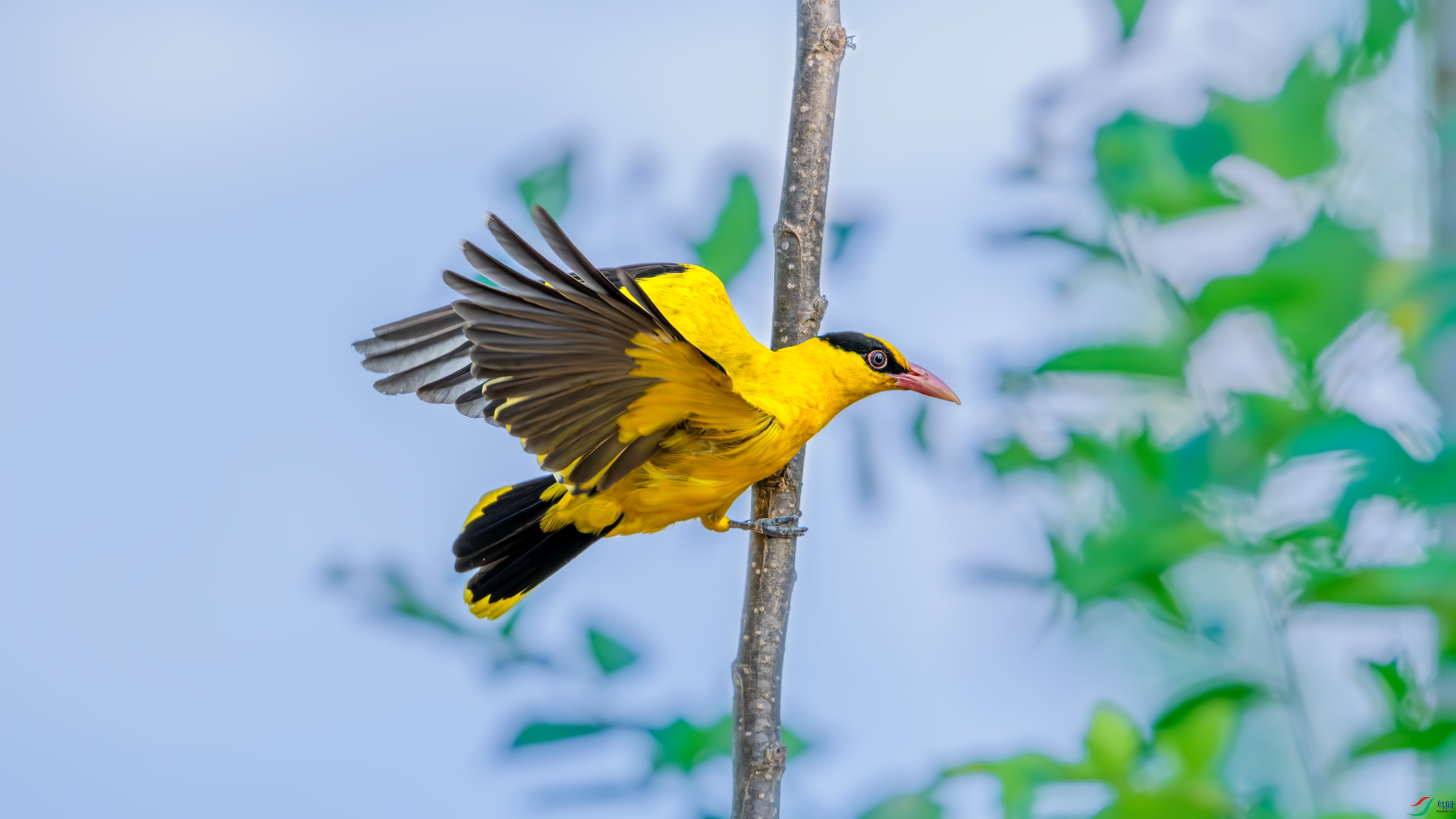 DSC_5200.jpg