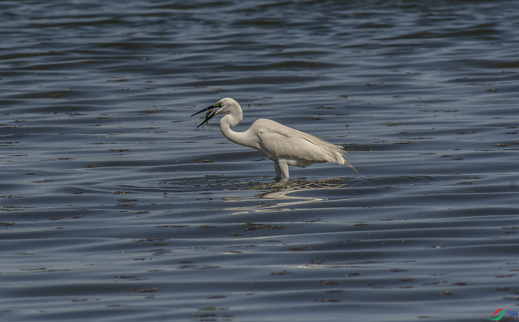 DSC_9106_��ͼ��_1.jpg