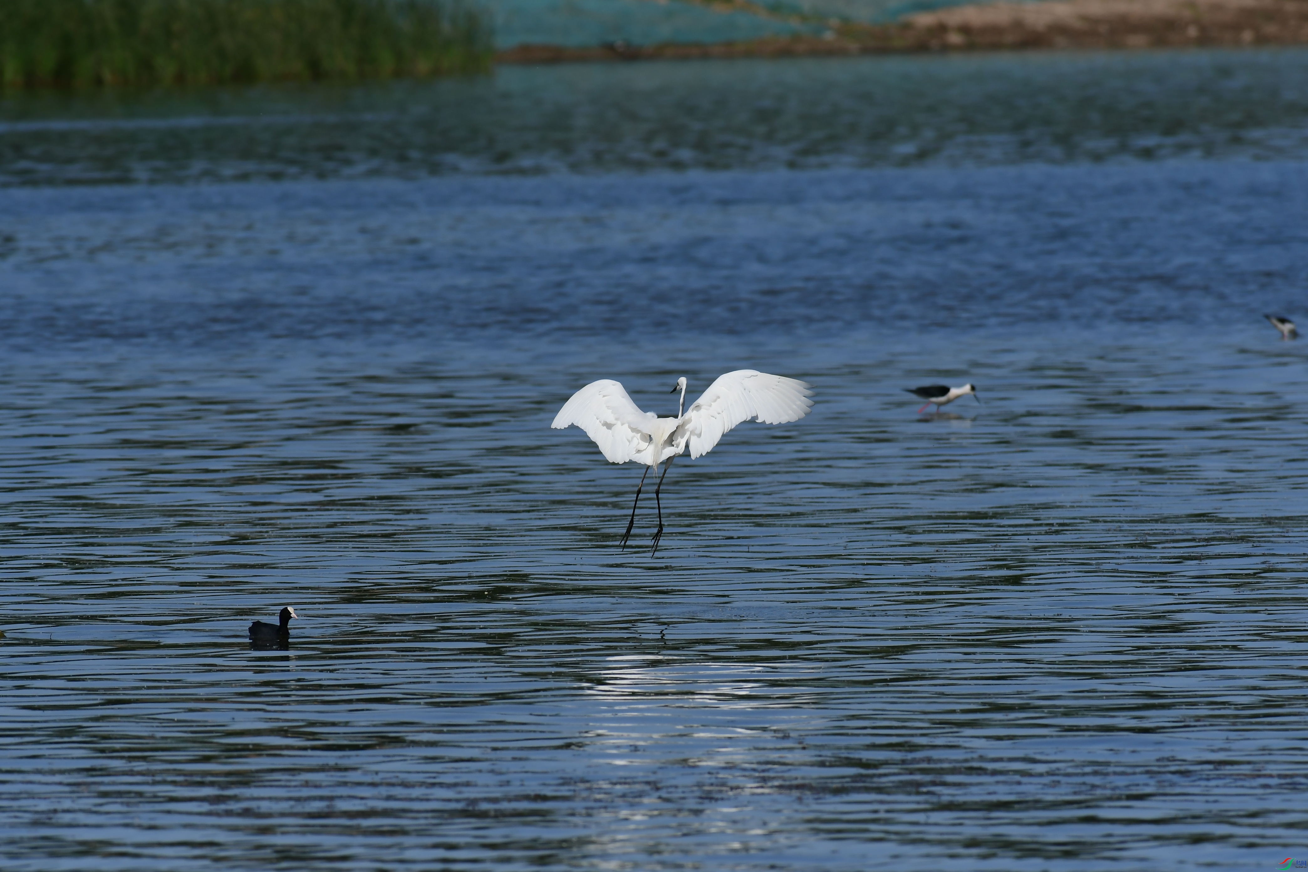 DSC_9352_��ͼ��.jpg