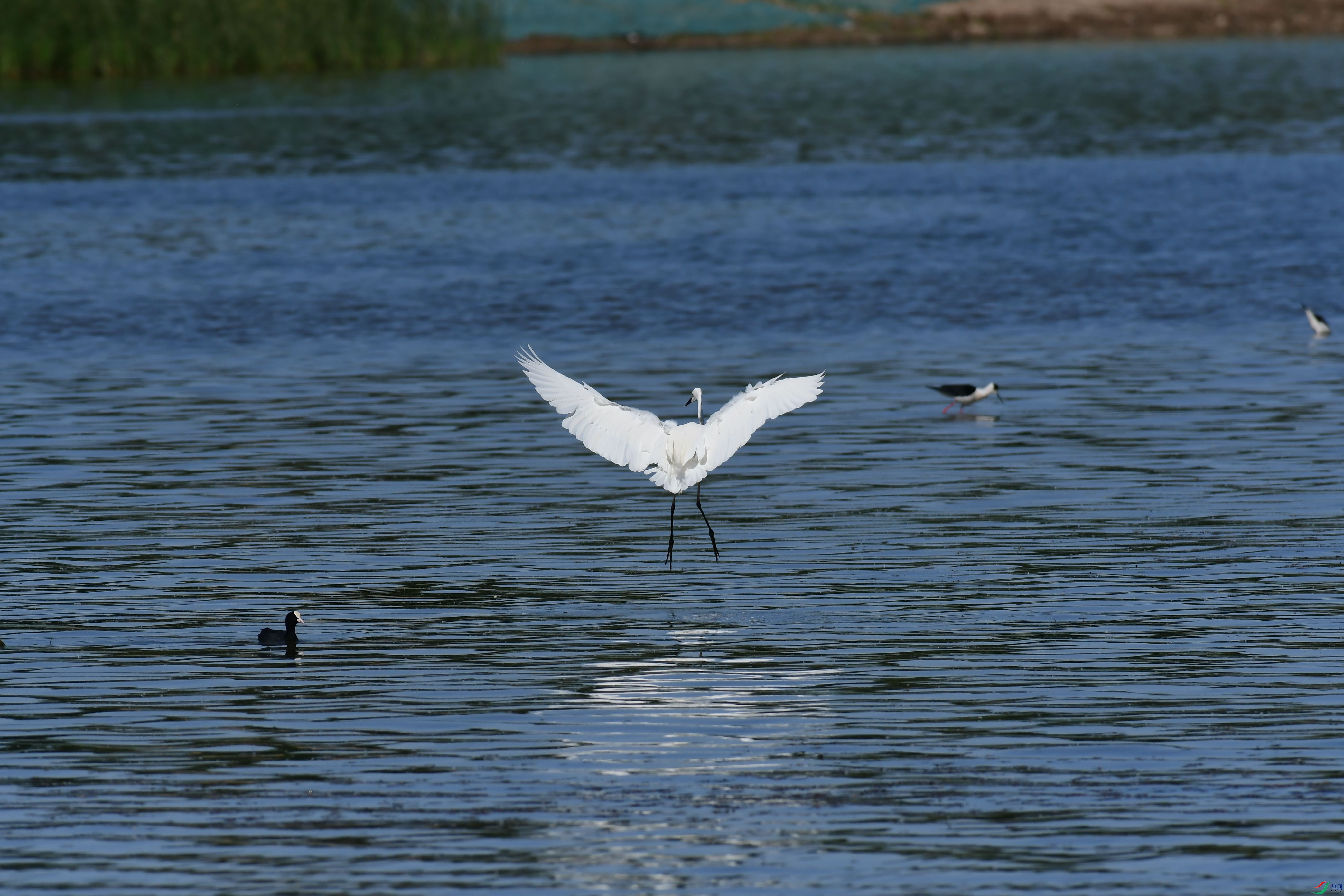 DSC_9353_��ͼ��.jpg