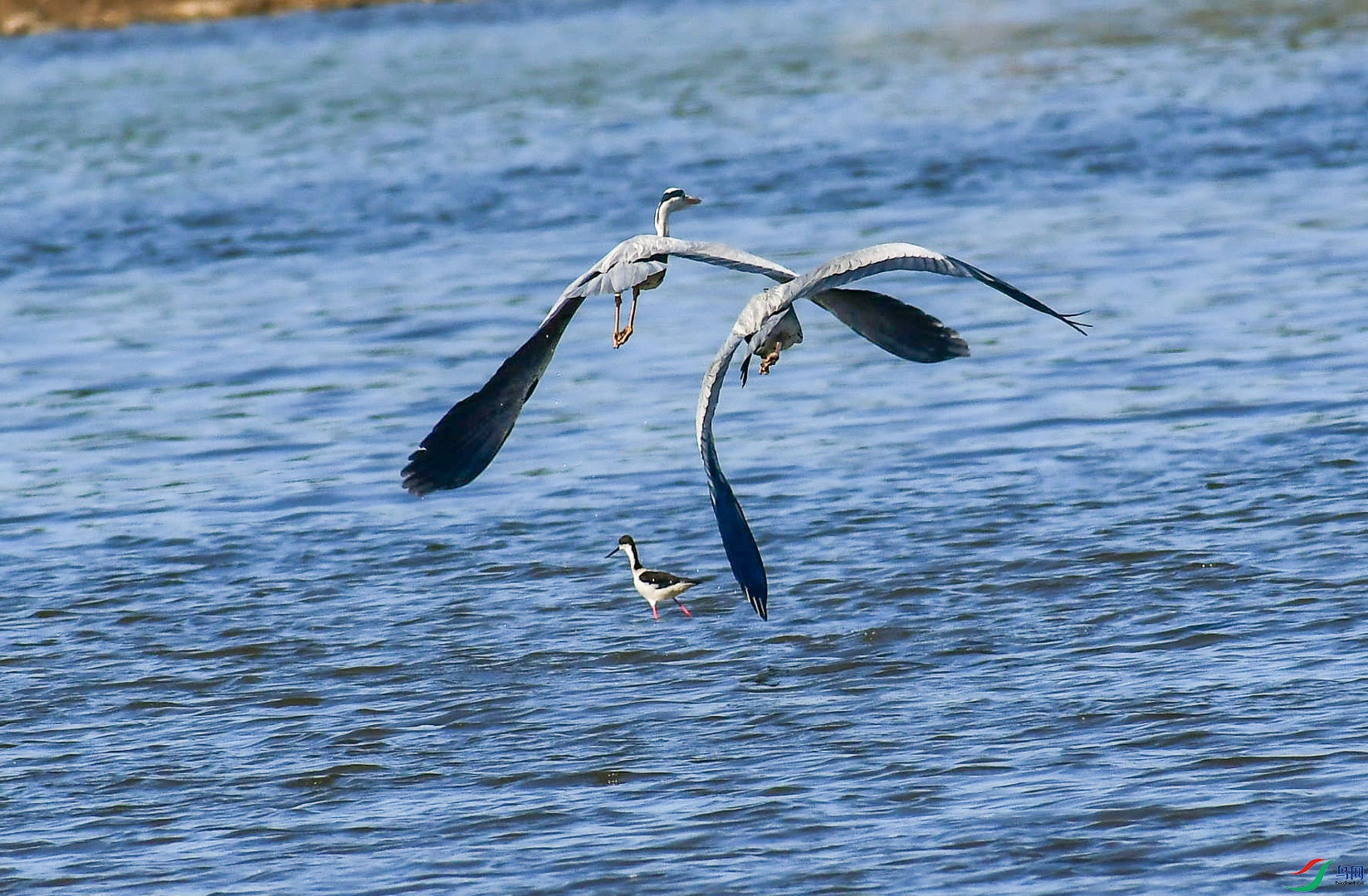DSC_9421_��ͼ��_3.jpg