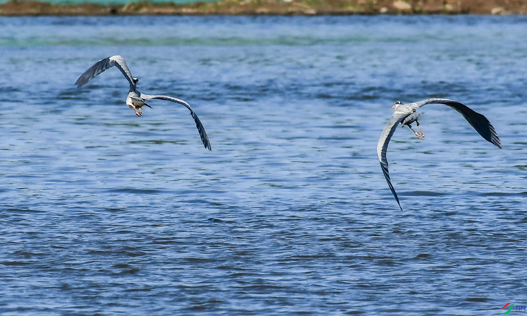 DSC_9425_��ͼ��_2.jpg