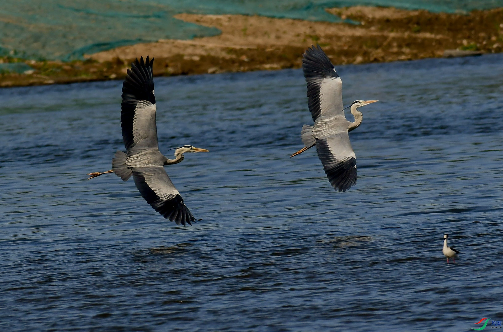 DSC_9431_��ͼ��_2.jpg
