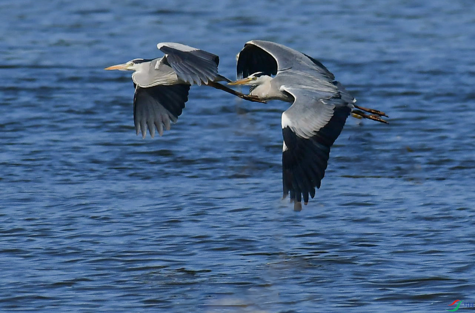 DSC_9475_��ͼ��_1.jpg