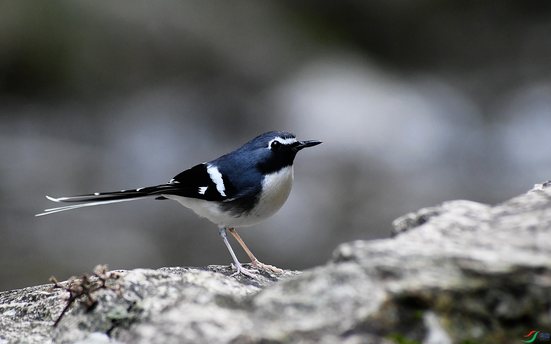 DSC_1561.jpg