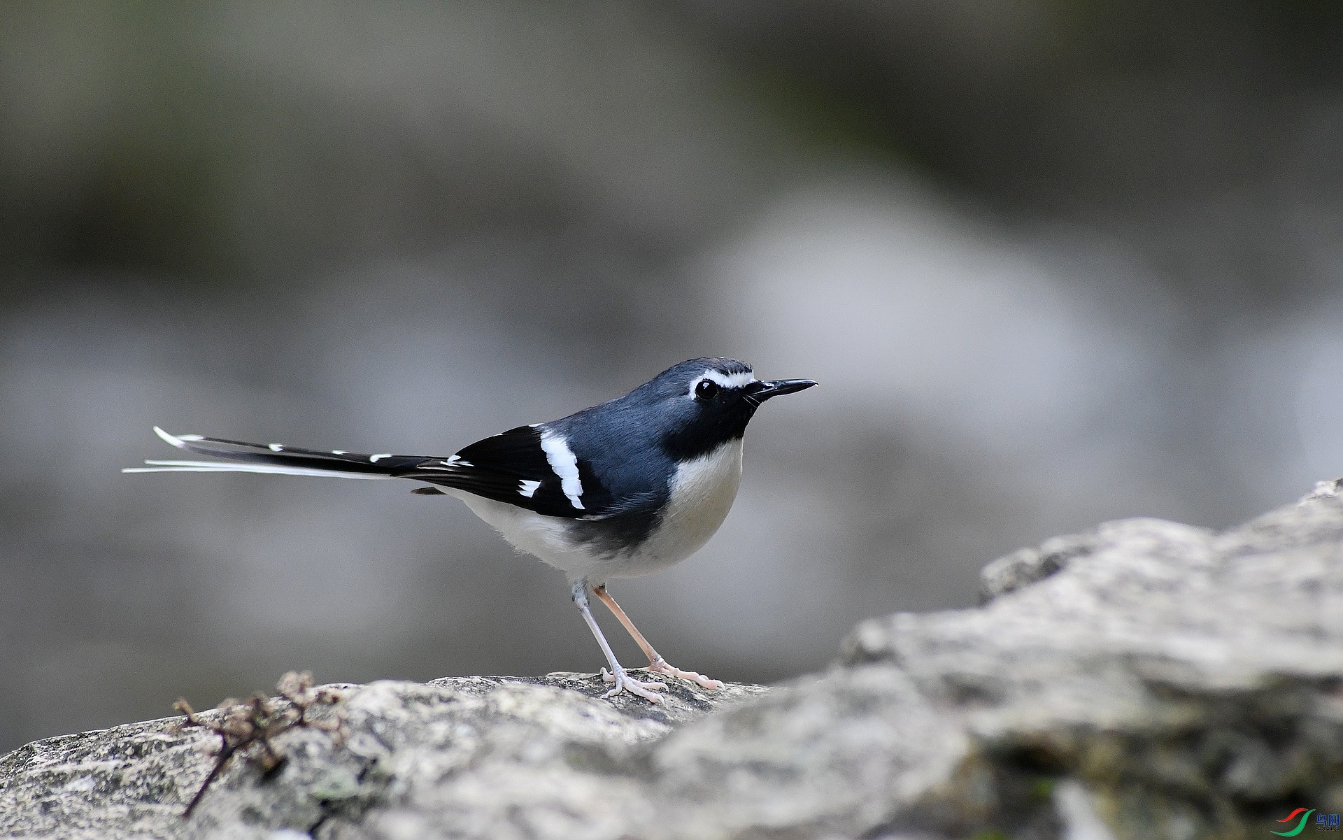 DSC_1560.jpg