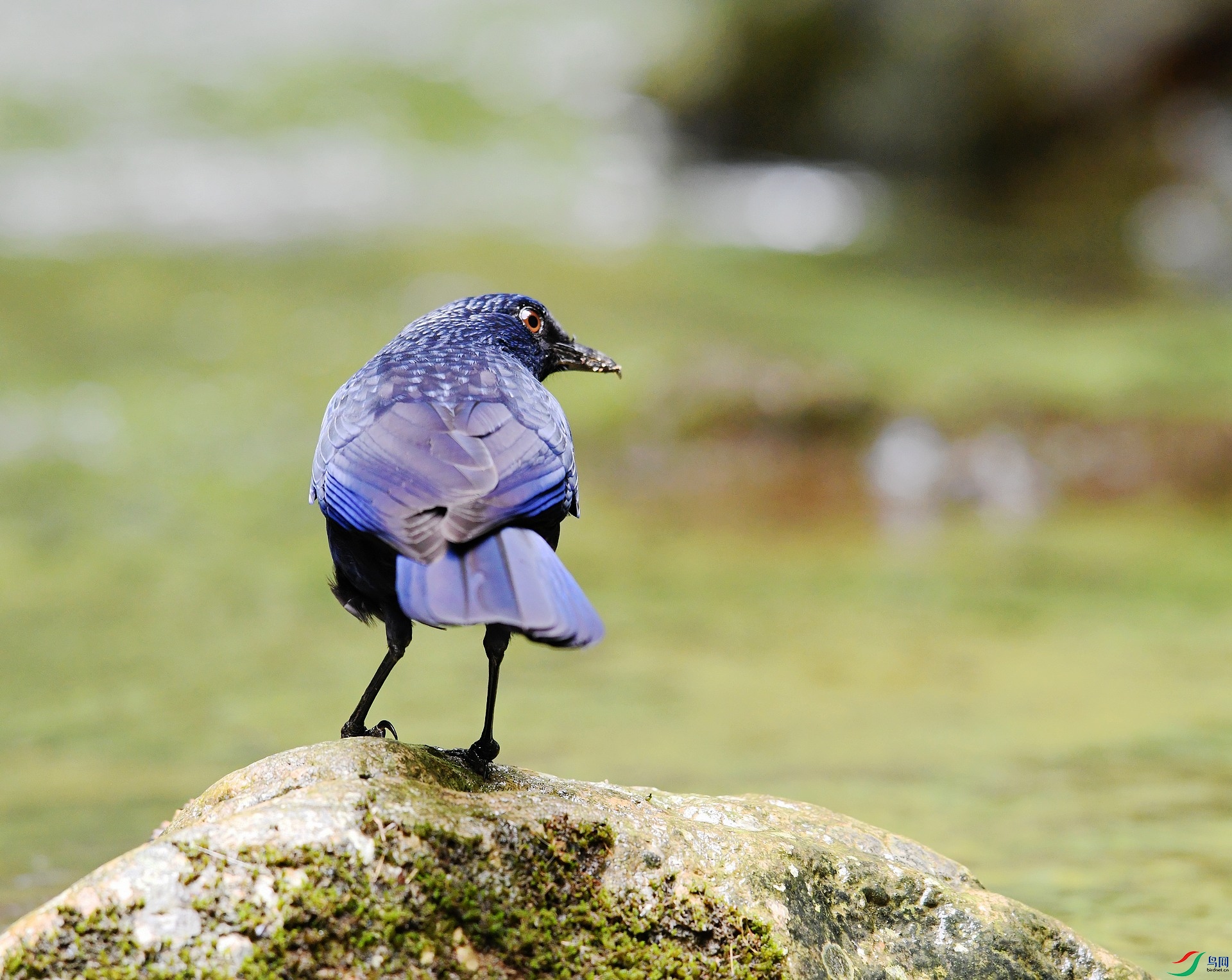DSC_3164.jpg