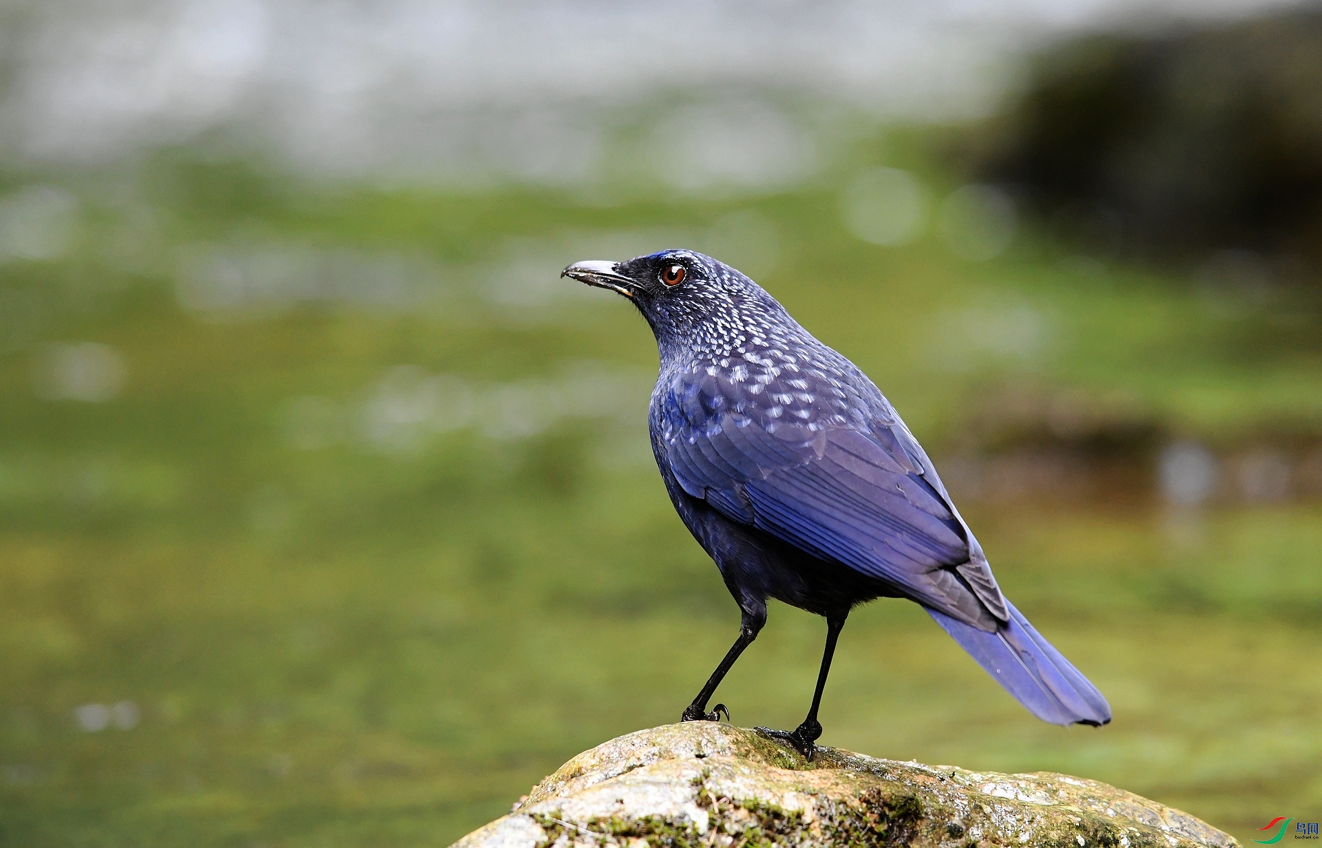 DSC_3161.jpg