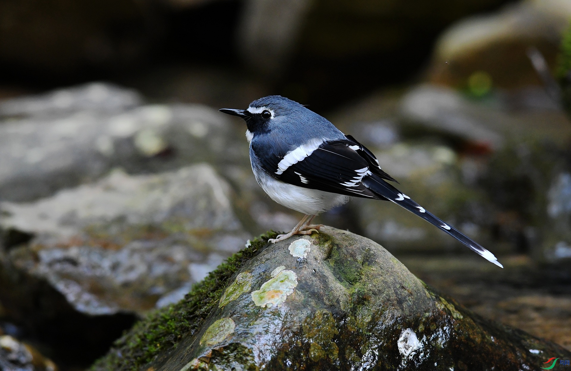 DSC_2064.jpg