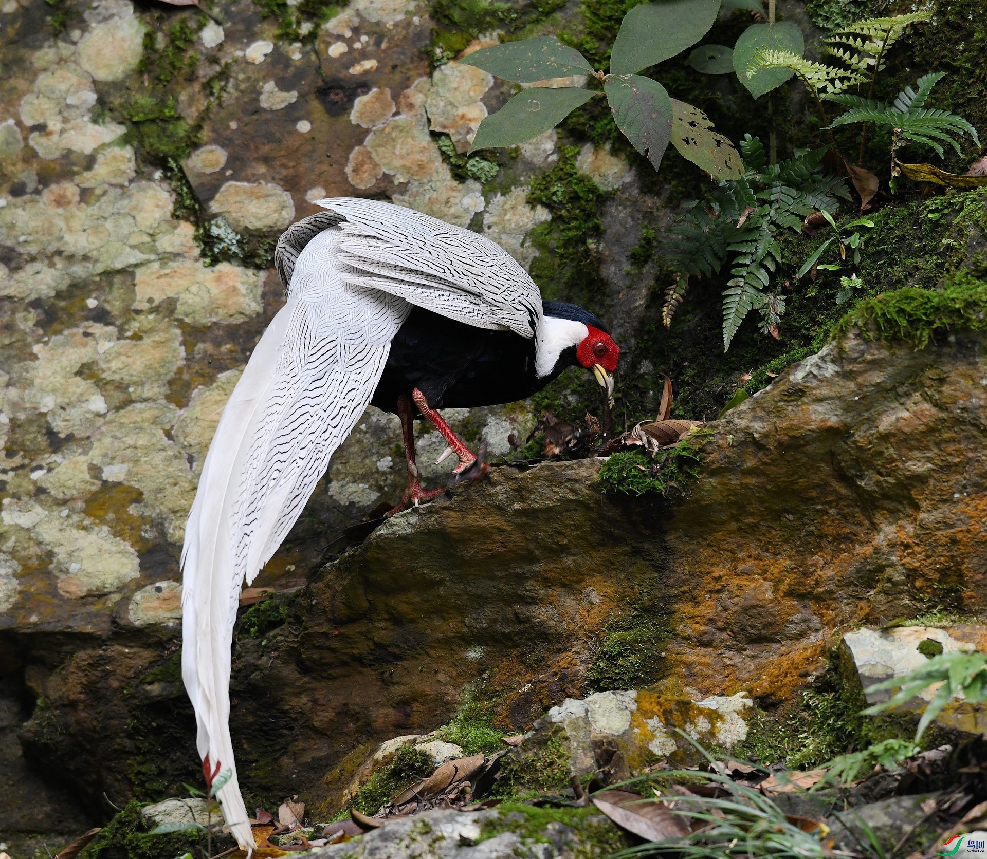 DSC_3377.jpg