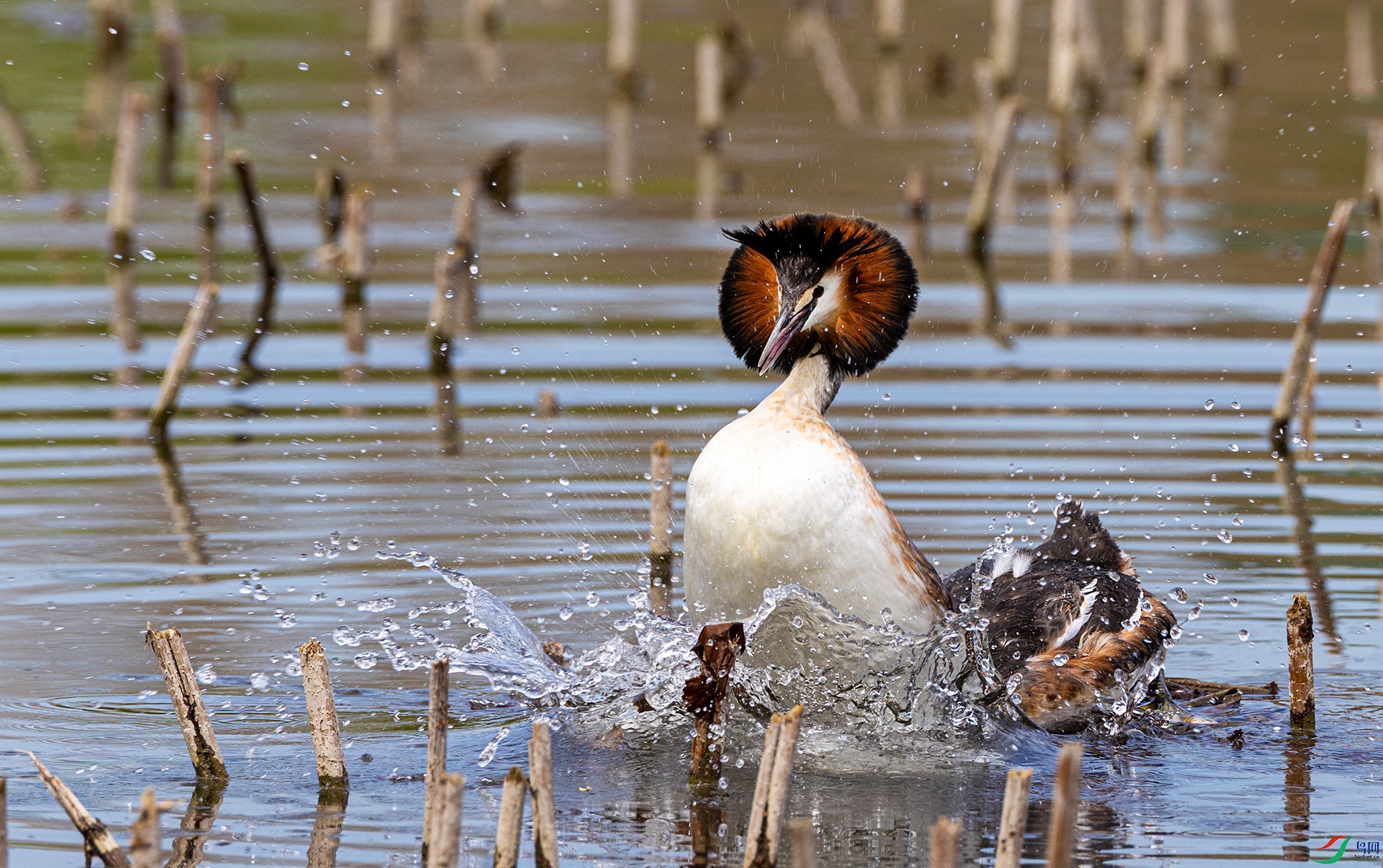 1G9A9125 ����.jpg