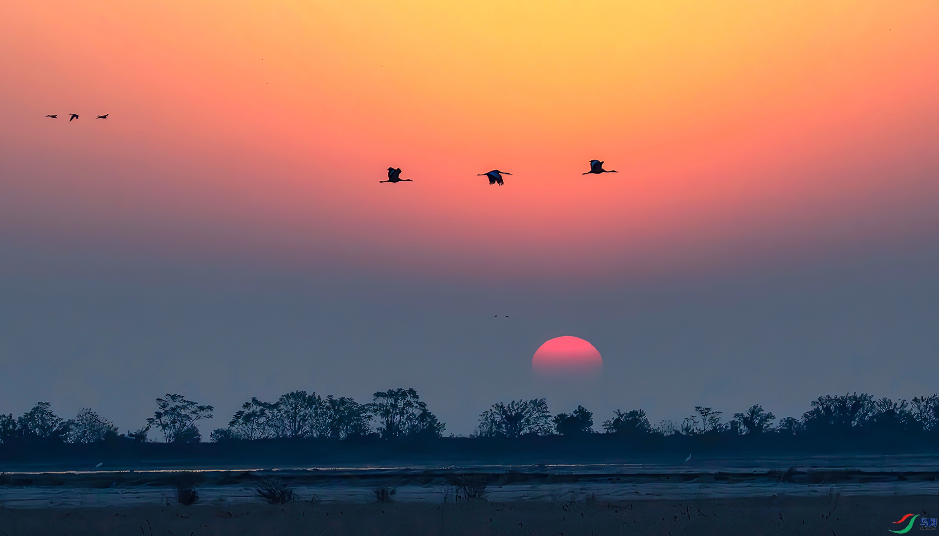 _60A0012-----33  .jpg