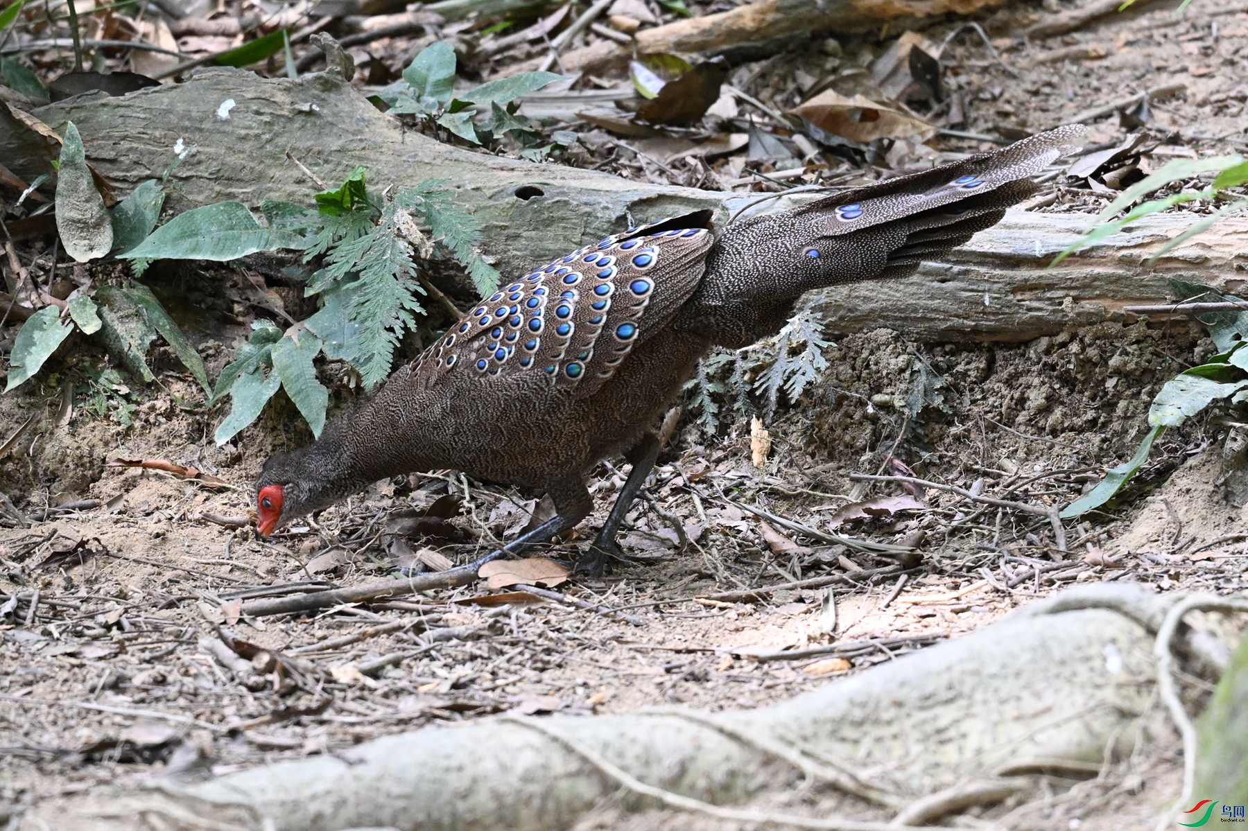 DSC_7489.JPG