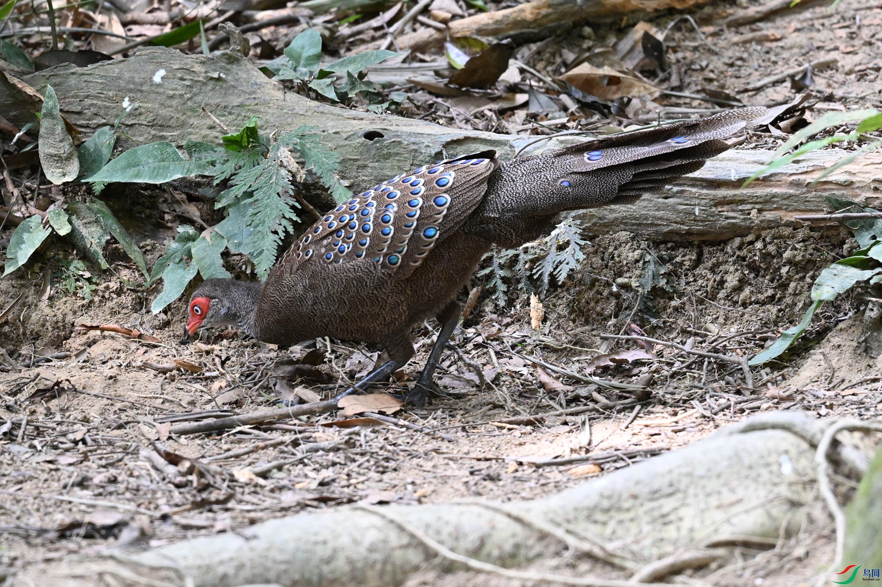 DSC_7490.JPG