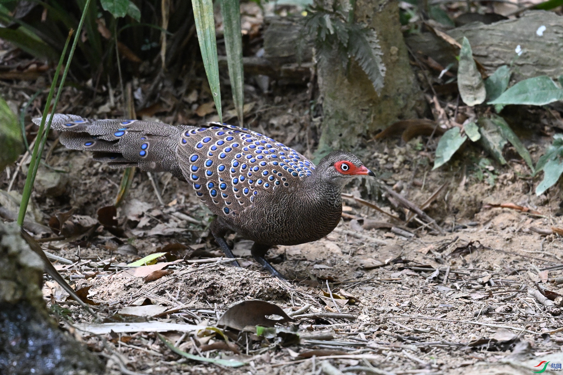 DSC_7492.JPG