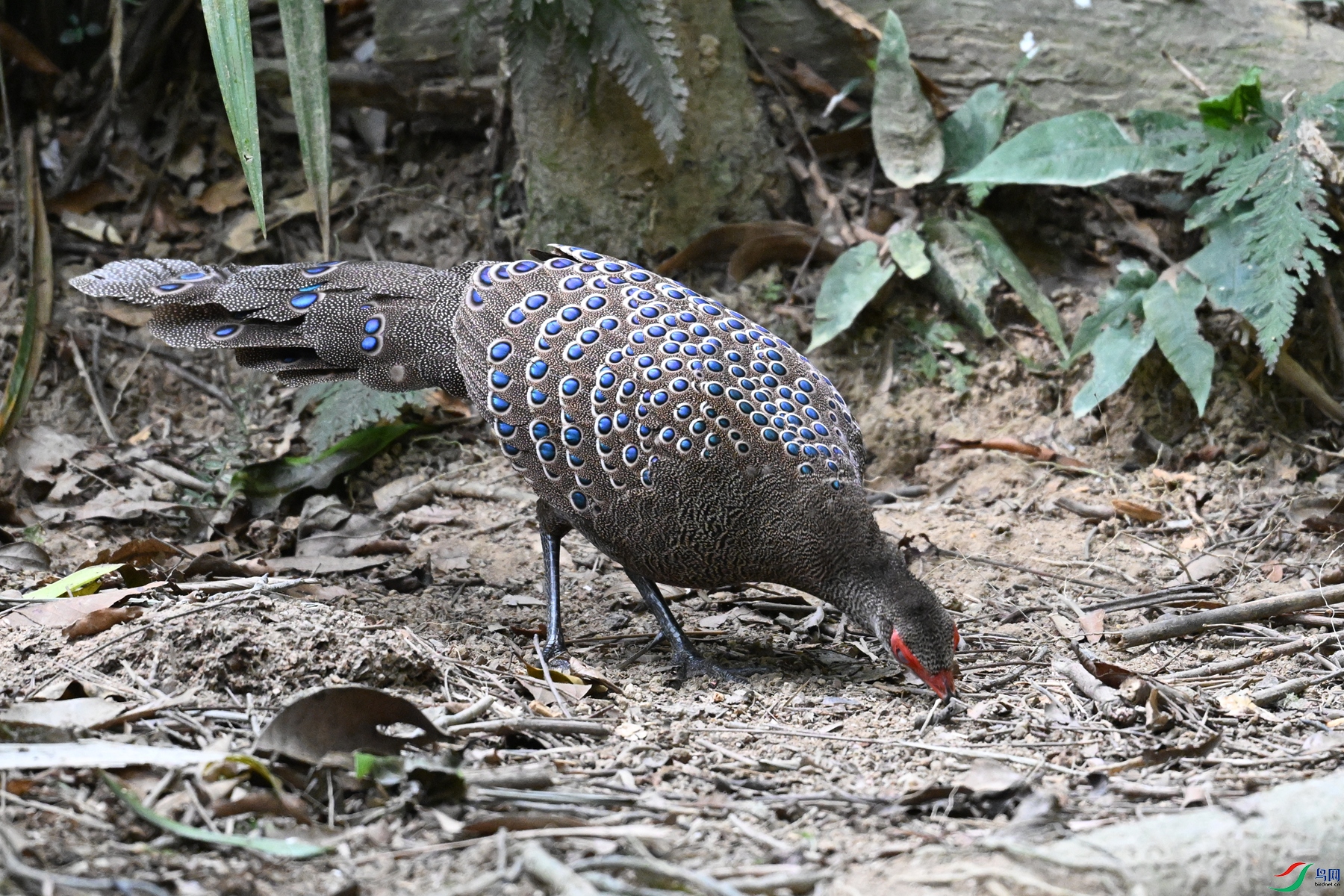 DSC_7496.JPG