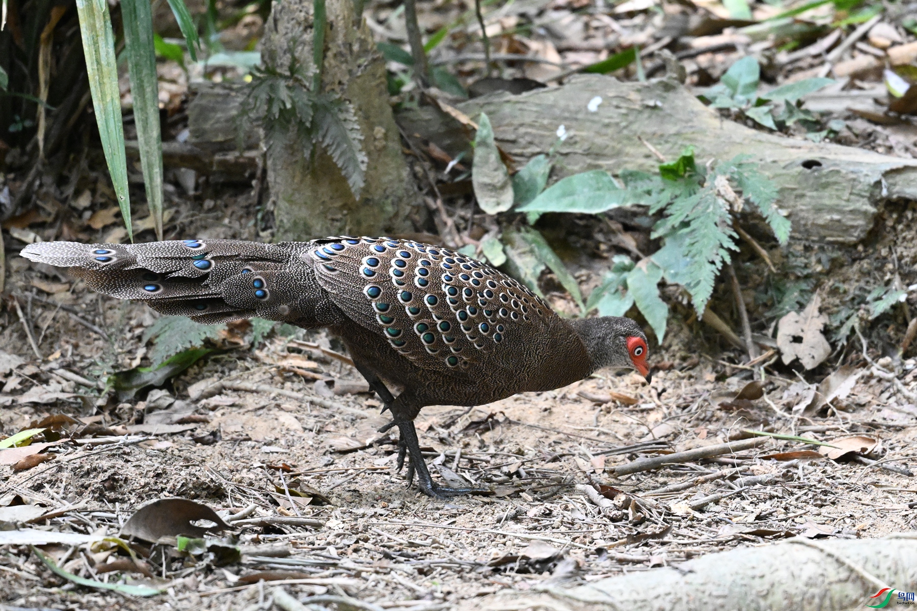 DSC_7498.JPG