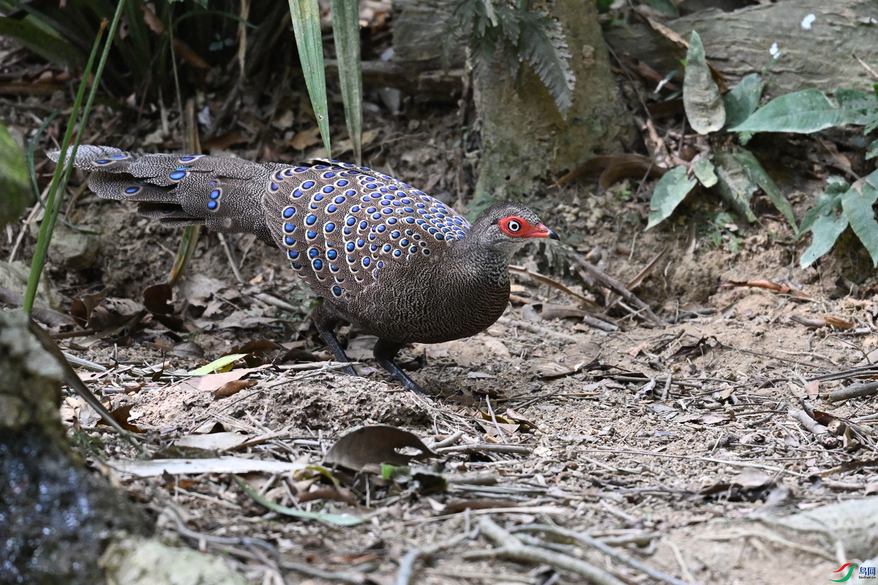 DSC_7491.JPG