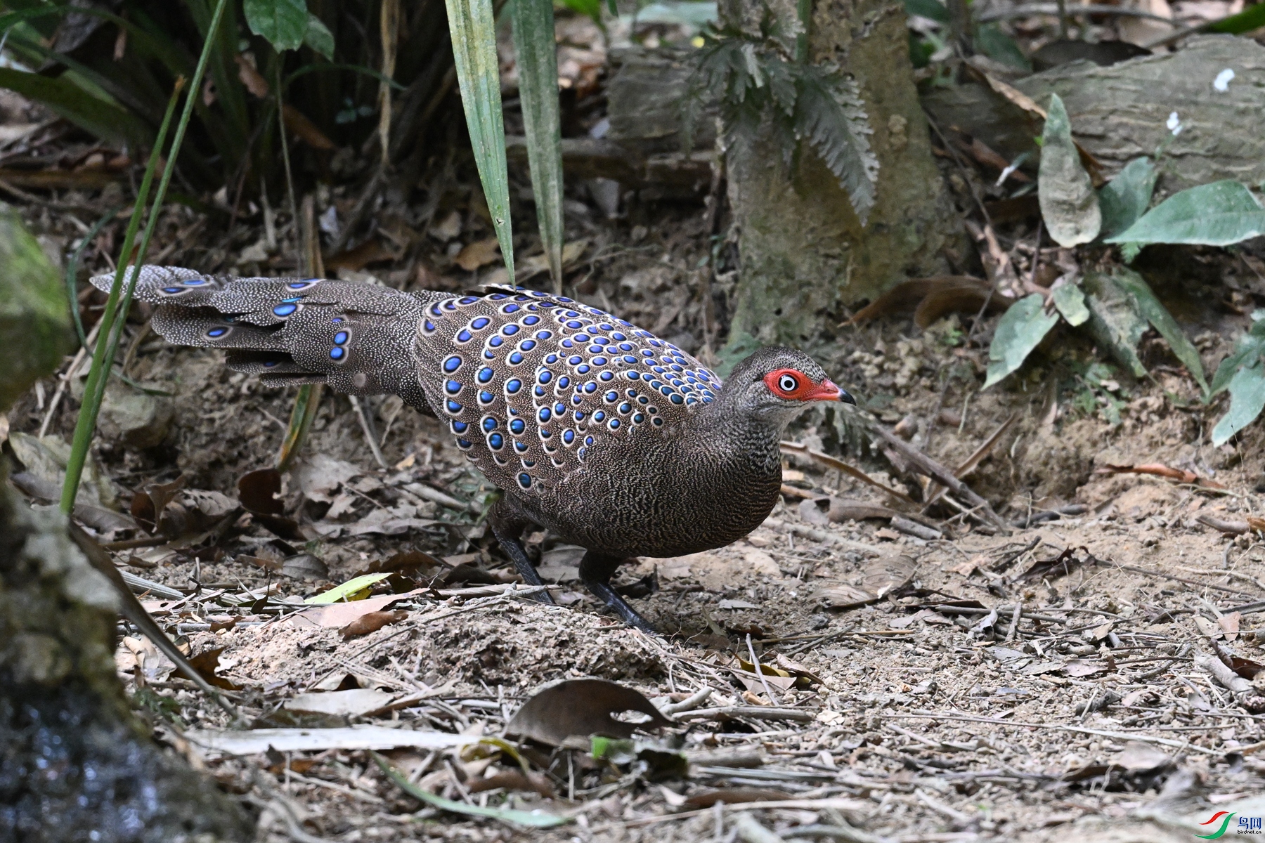 DSC_7493.JPG