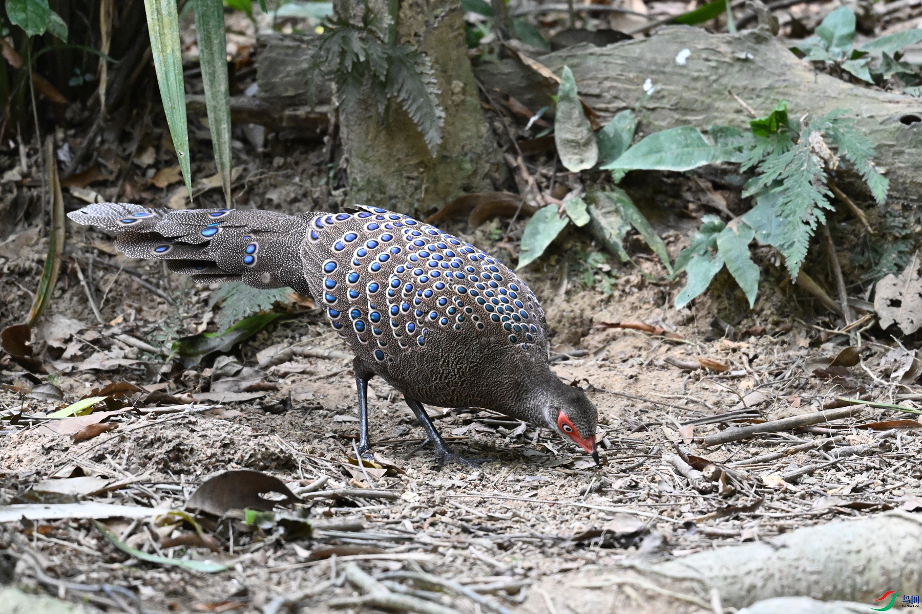 DSC_7495.JPG
