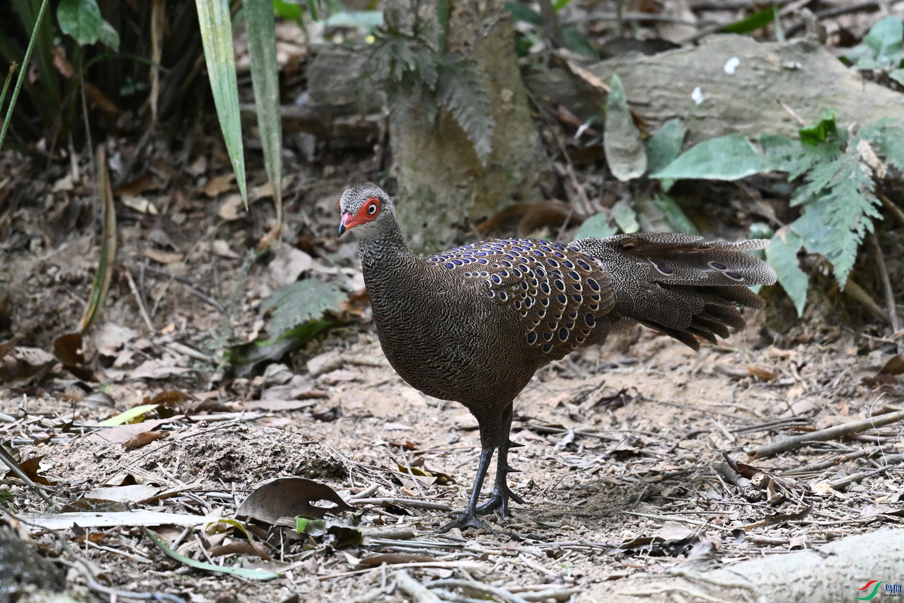 DSC_7507.JPG