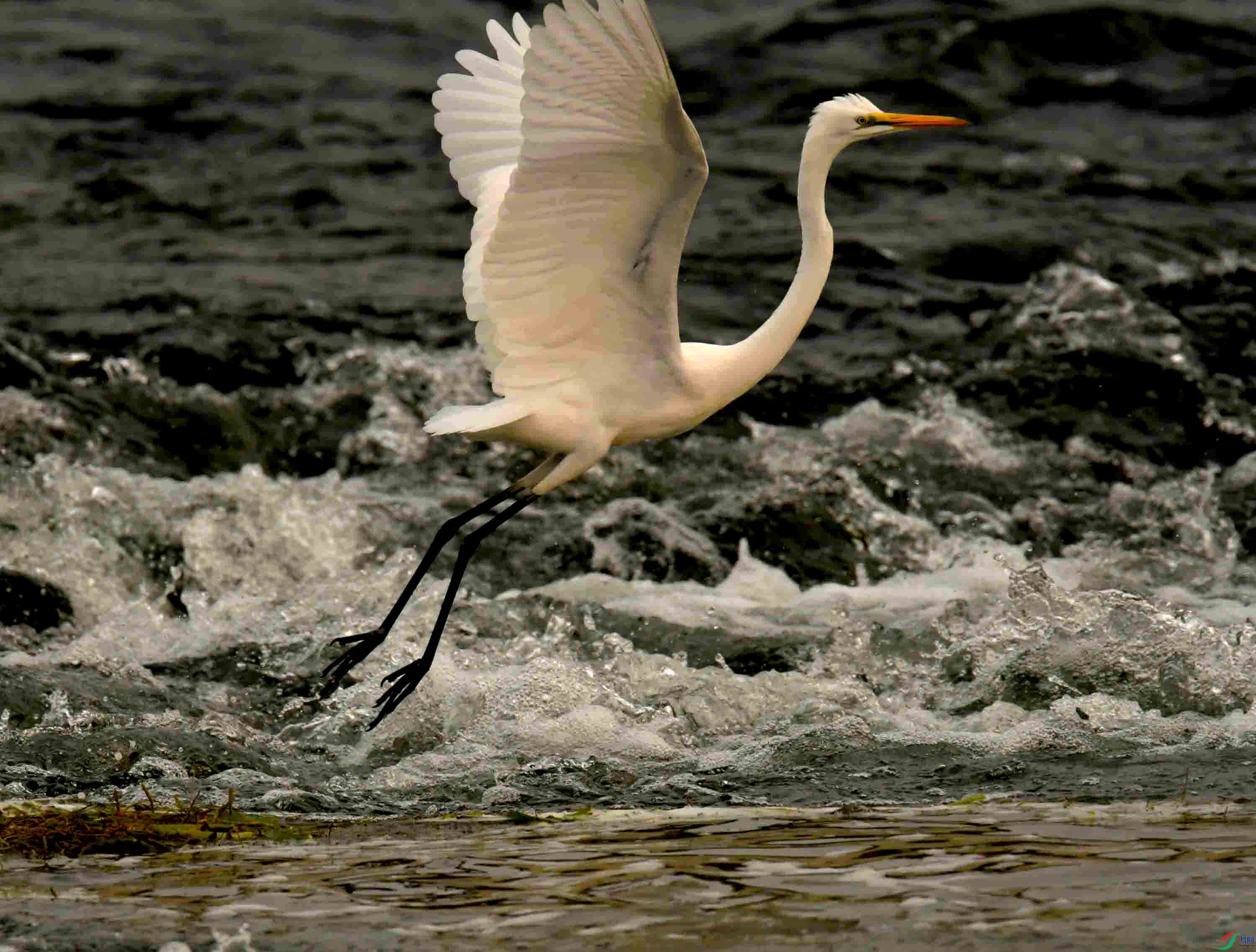 DSC_7567.JPG