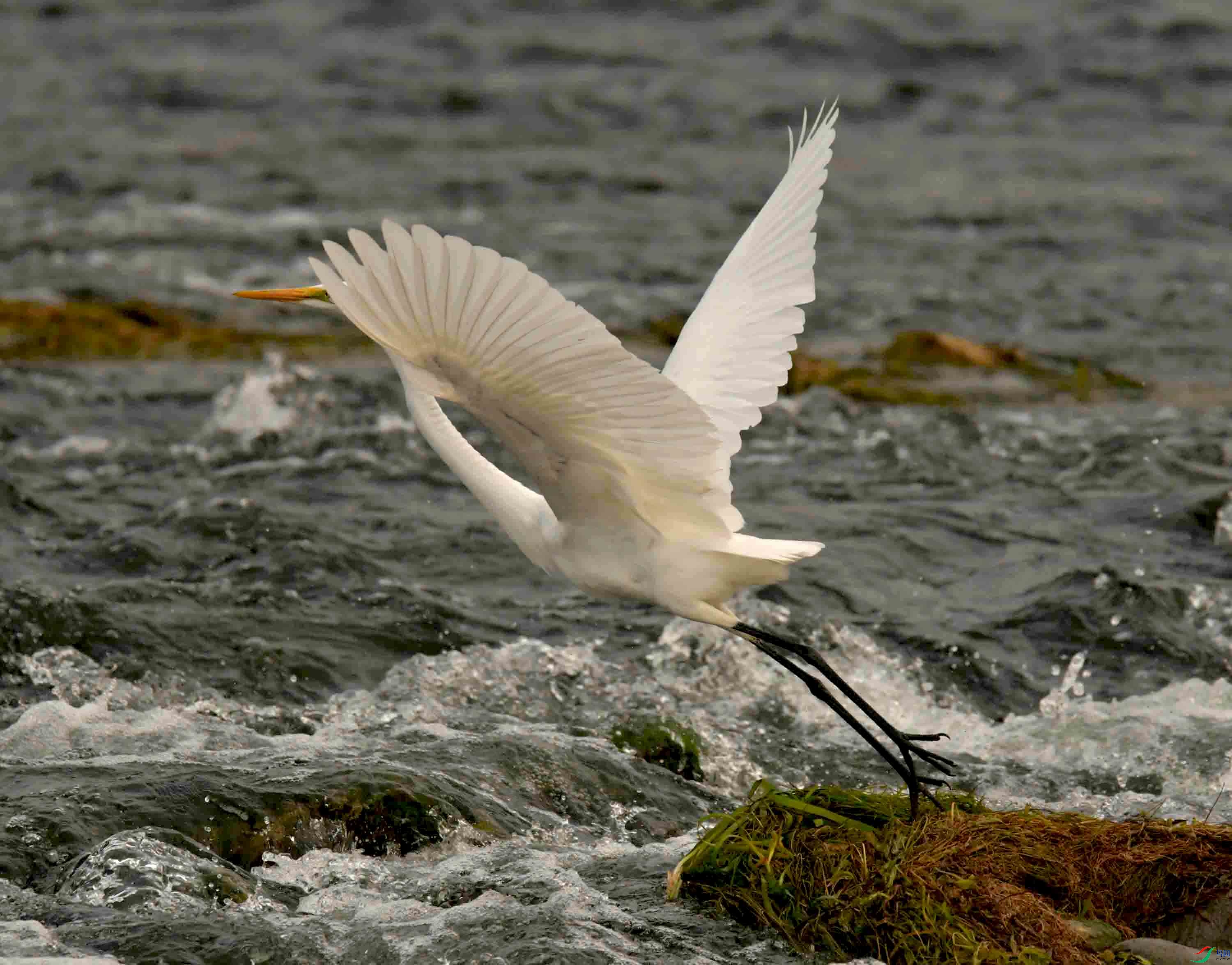 DSC_7572.JPG