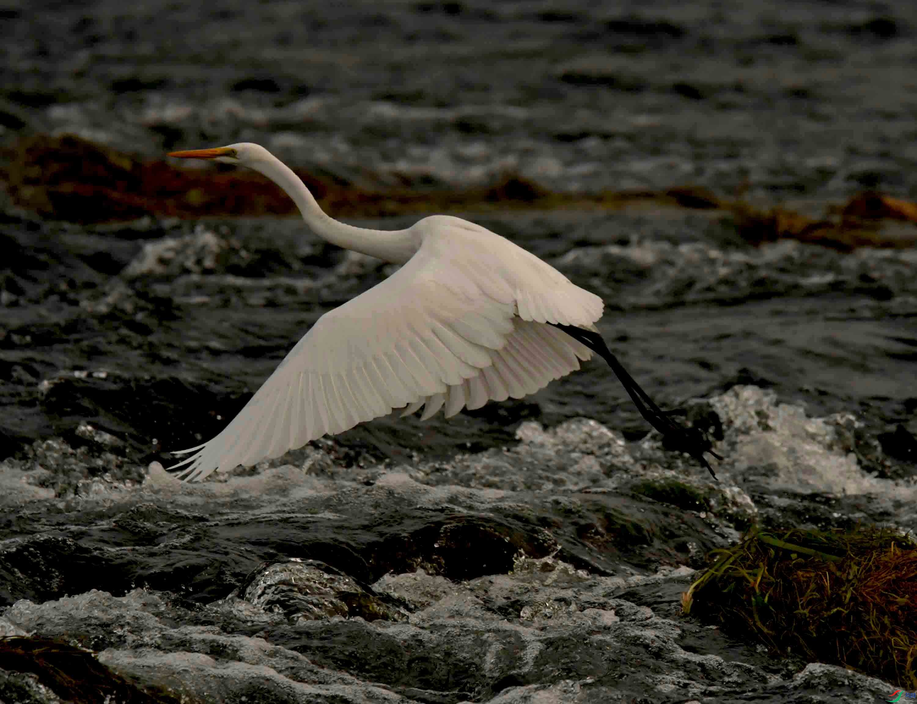 DSC_7573.JPG