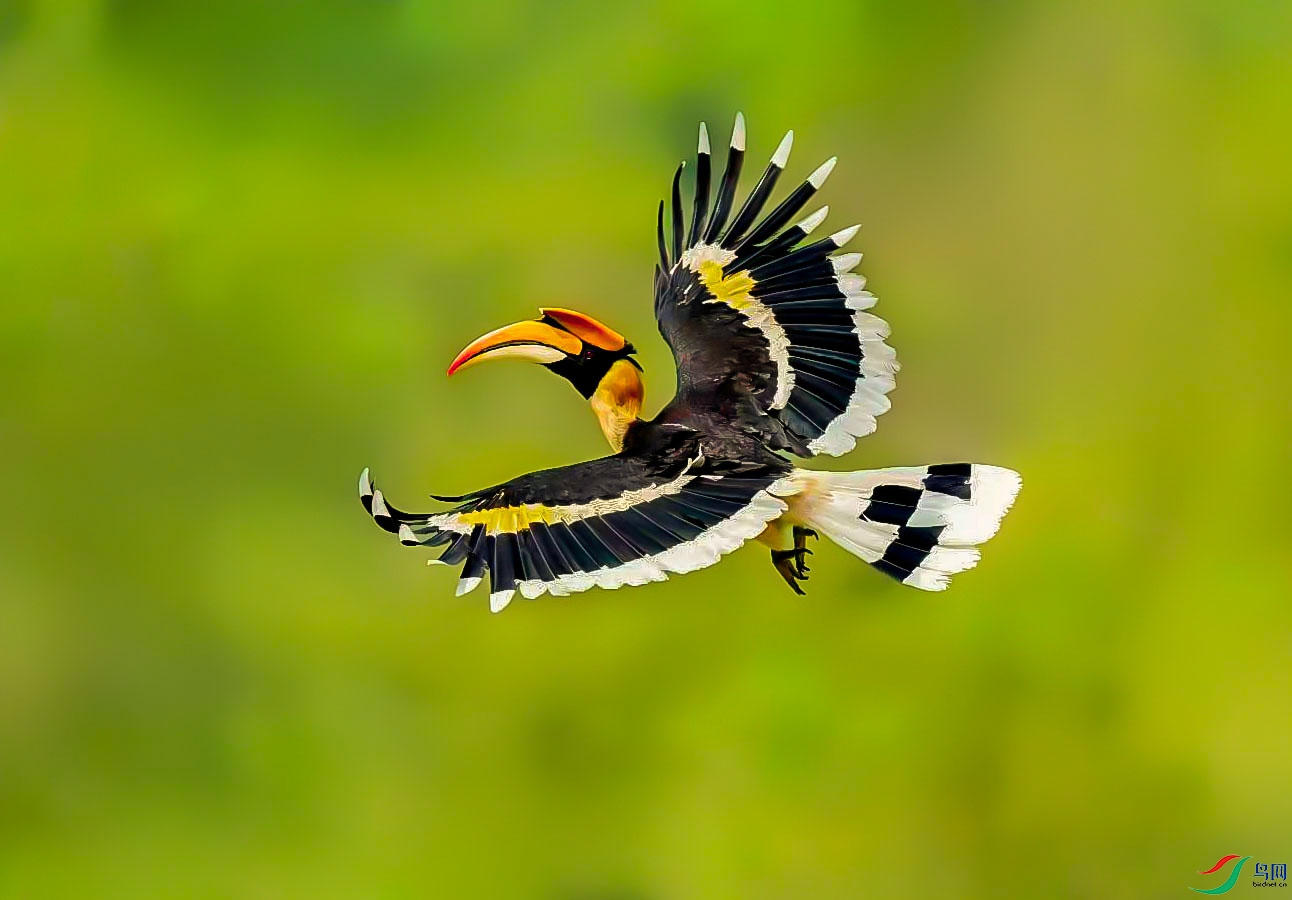 Ϭ�� ���� 3.jpg