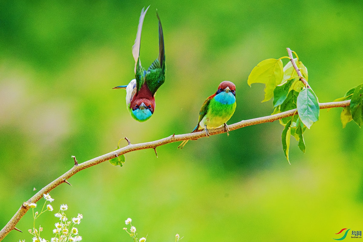 DSC_3082-����ǿ.jpg