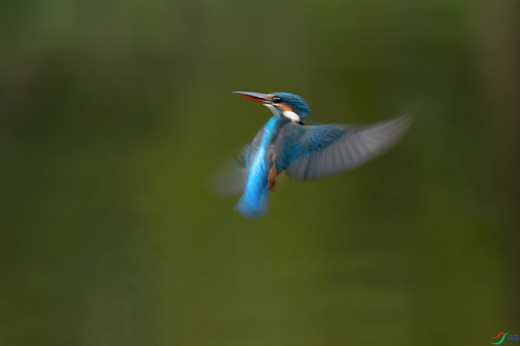 DSC_0663_DxOa.jpg