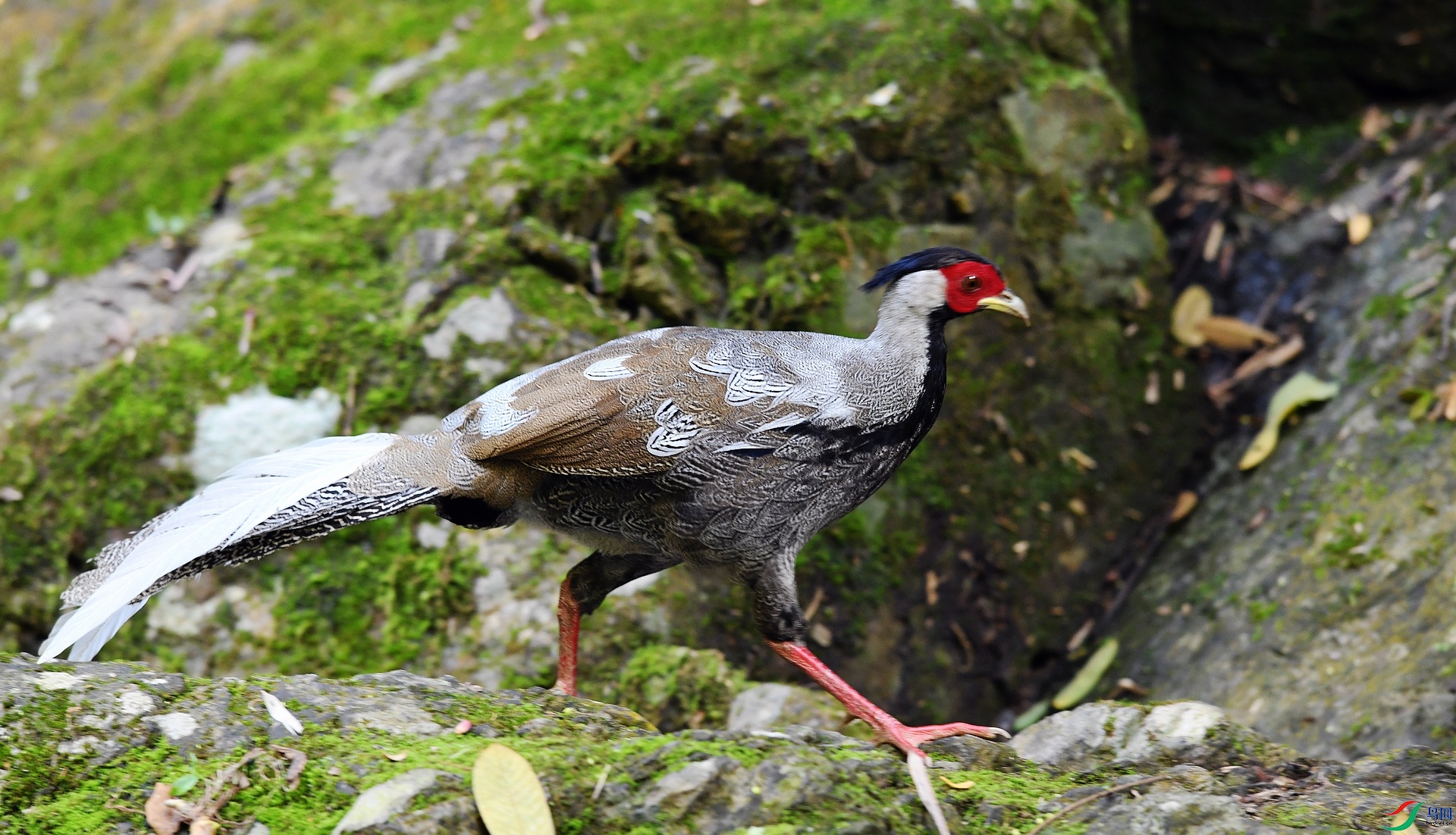 DSC_5027.jpg