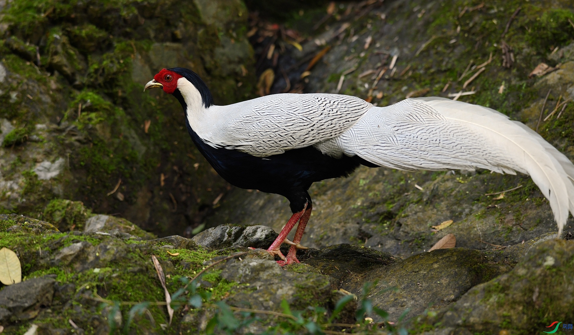 DSC_5160.jpg