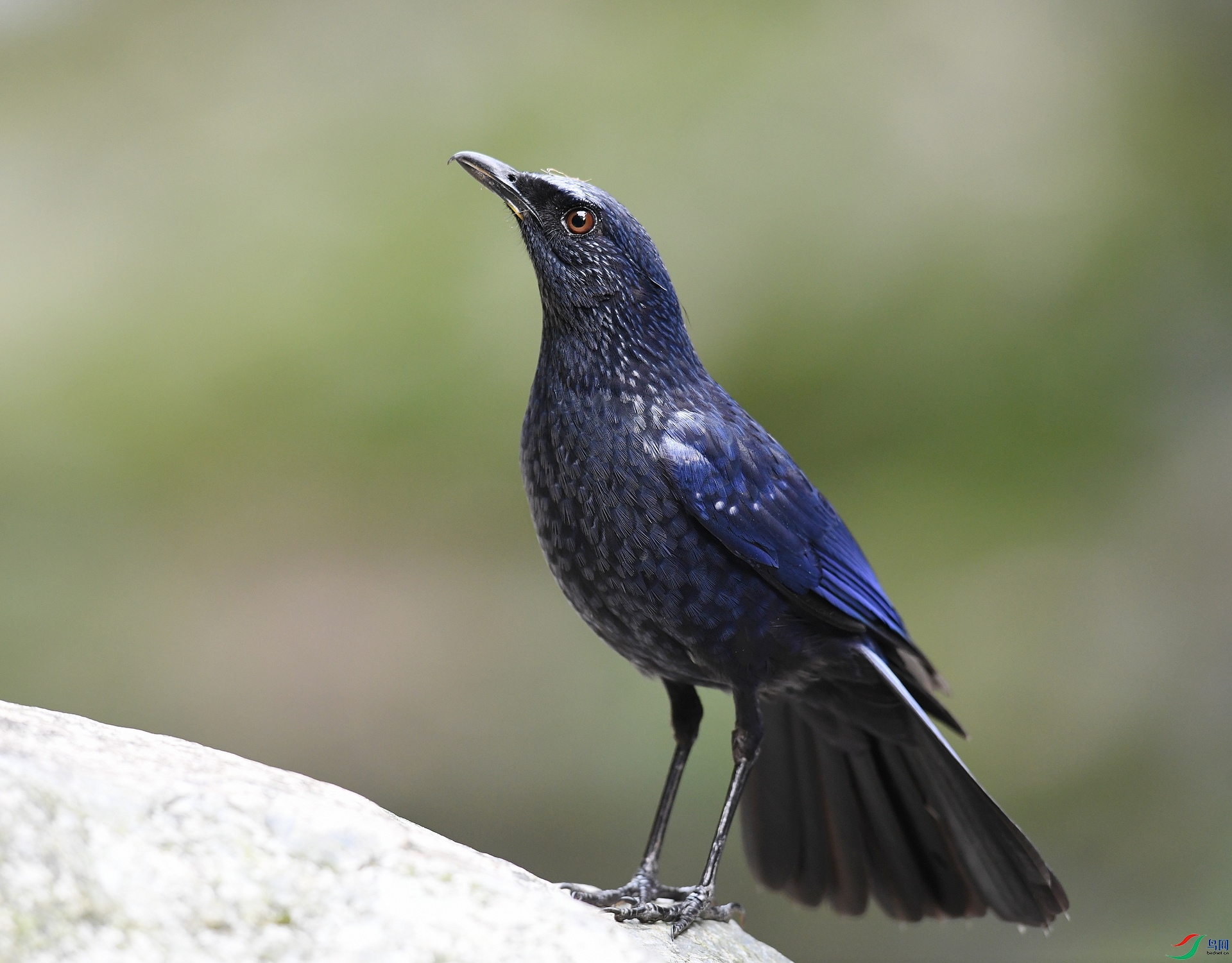 DSC_5543.jpg