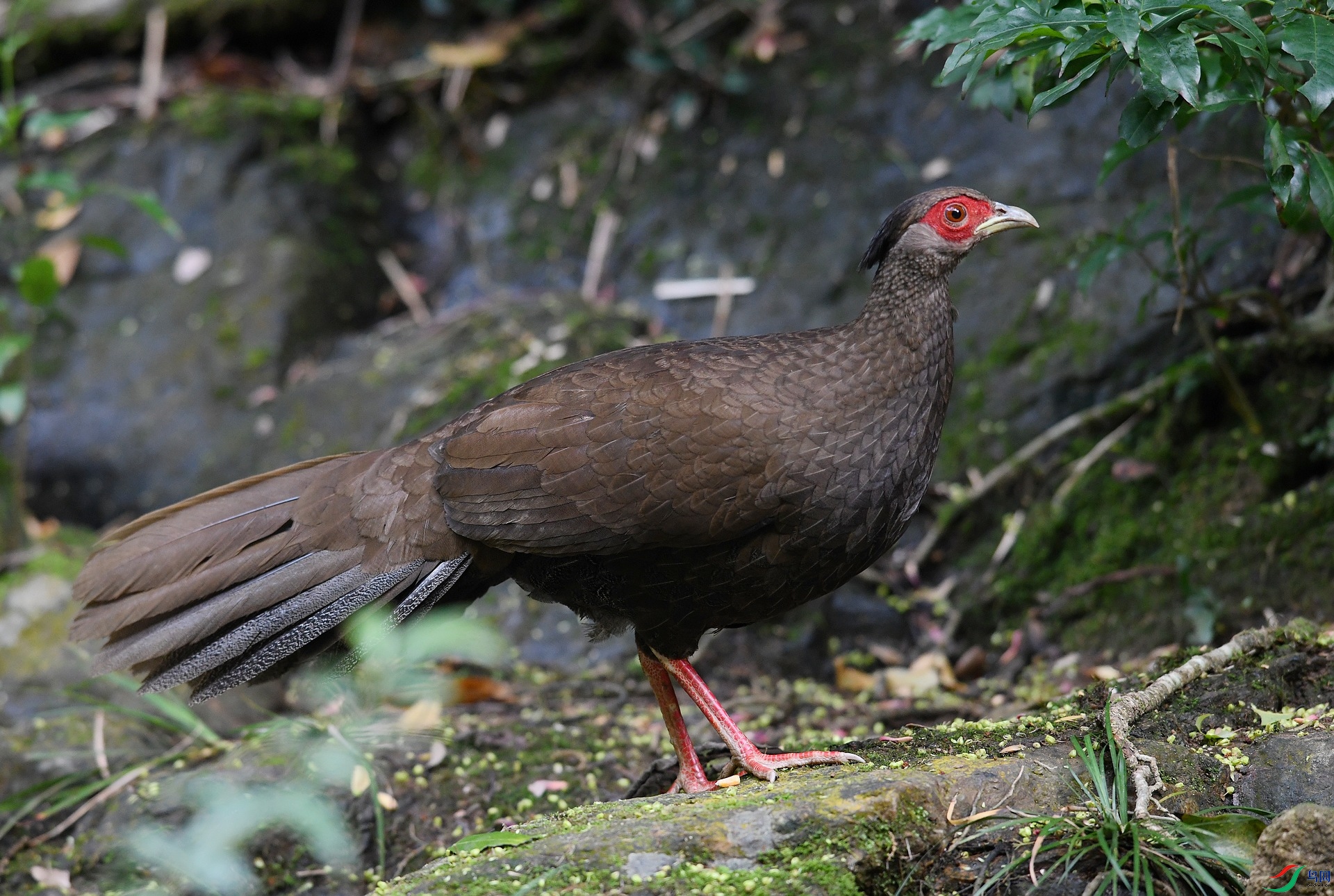 DSC_5490.jpg