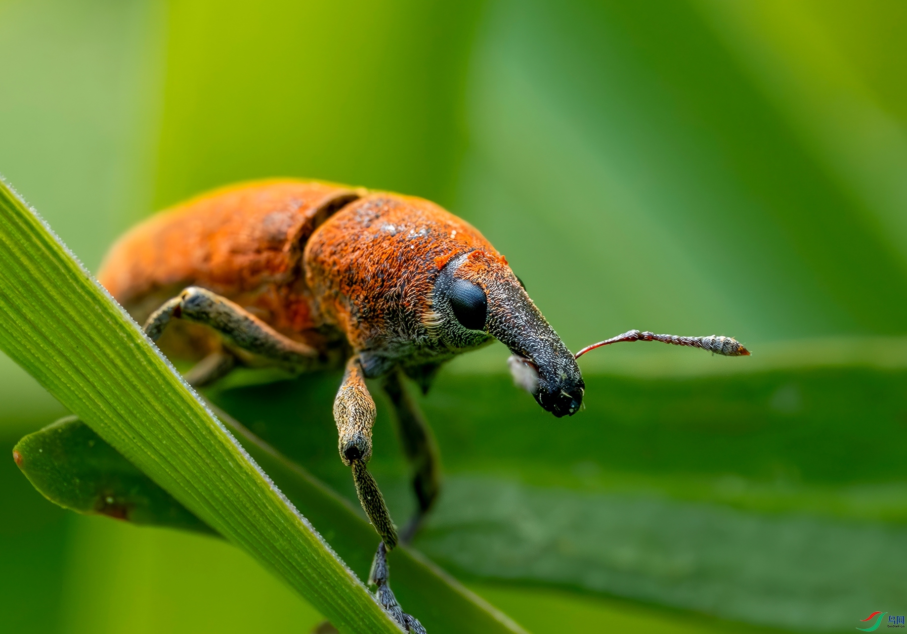 P4106350 ����-topaz_����.jpg