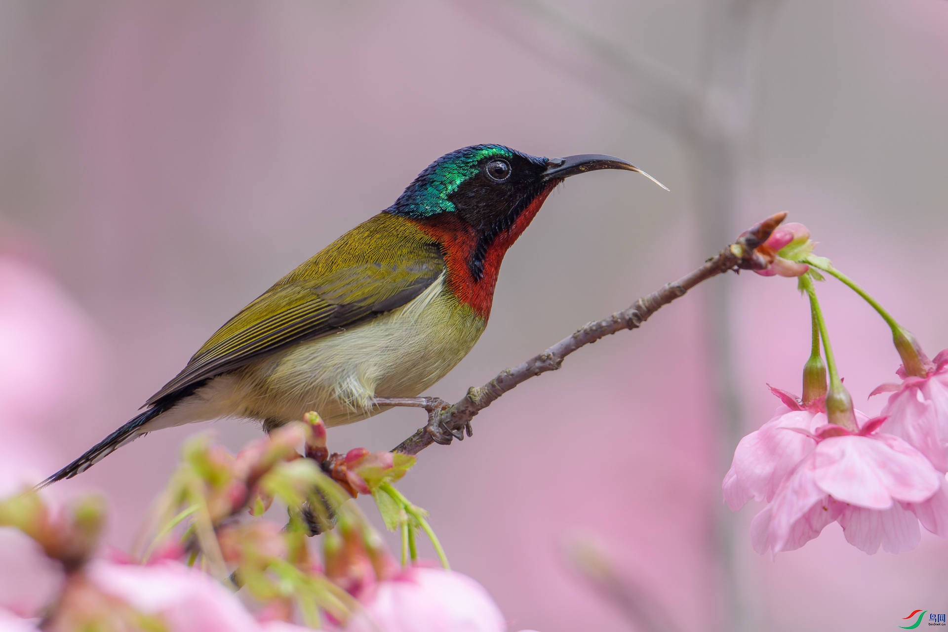 DSC04290-DxO_DeepPRIME XD2s.jpg