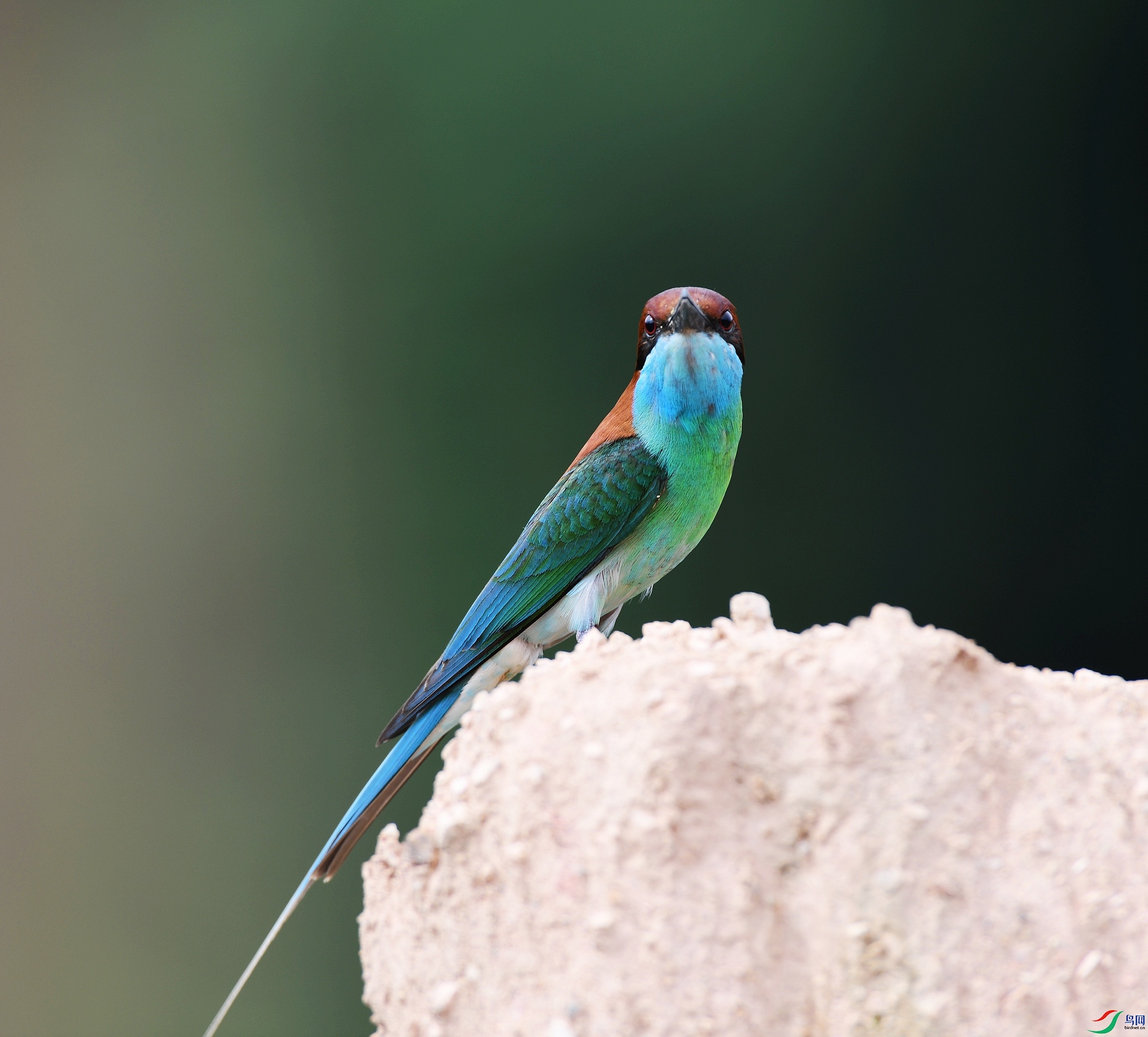 DSC_8715.jpg