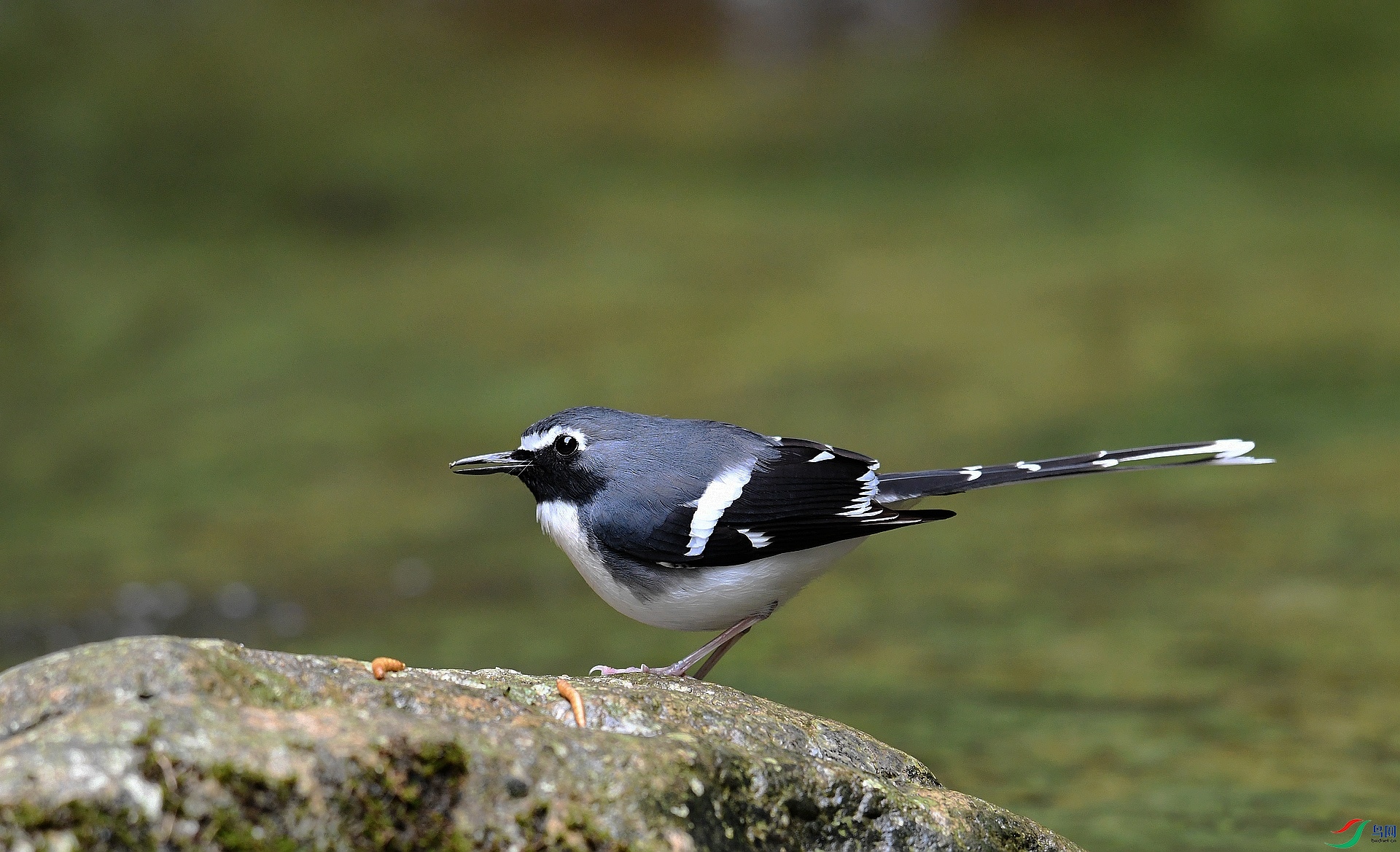 DSC_3852.jpg
