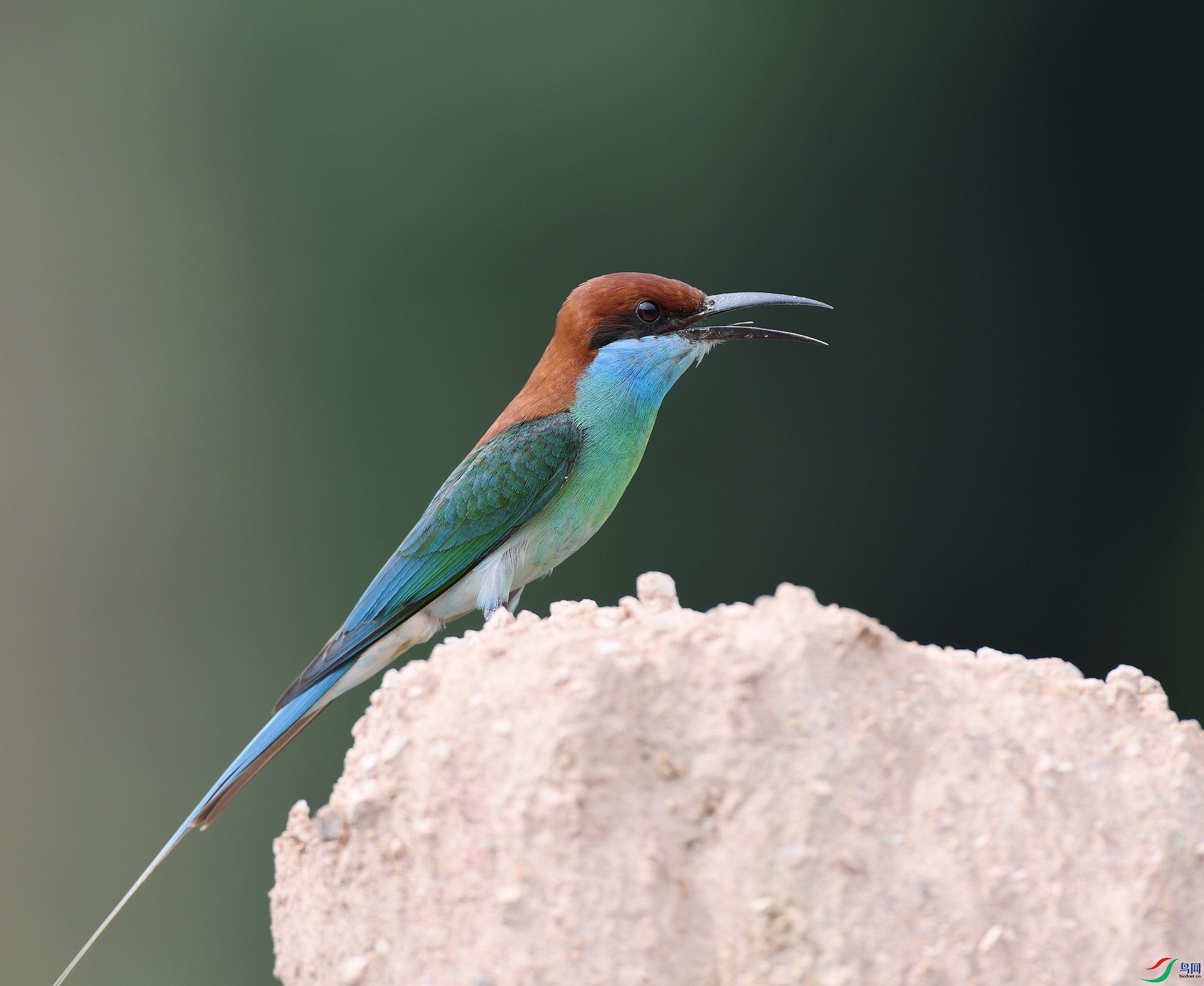 DSC_8714.jpg