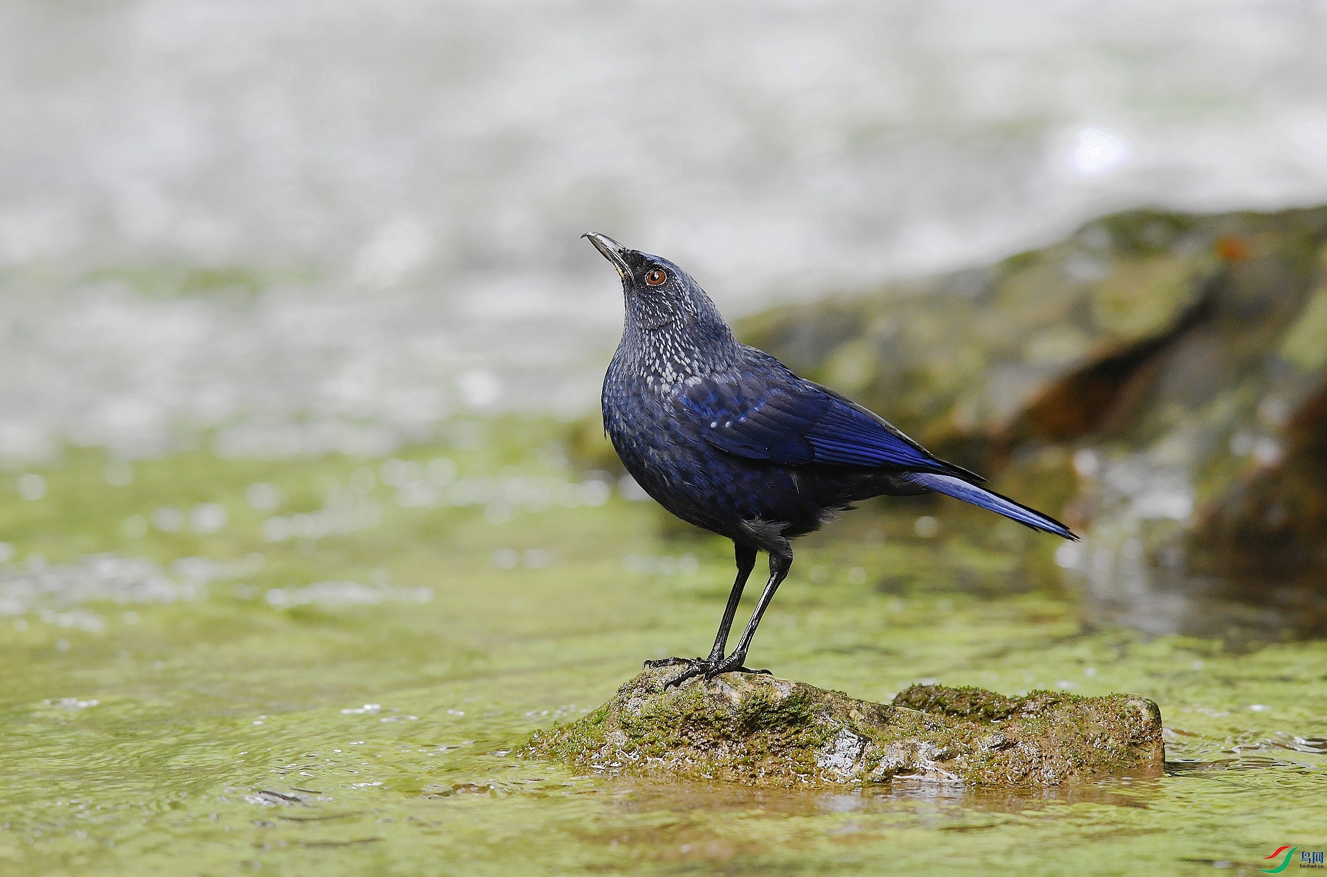 DSC_3310.jpg